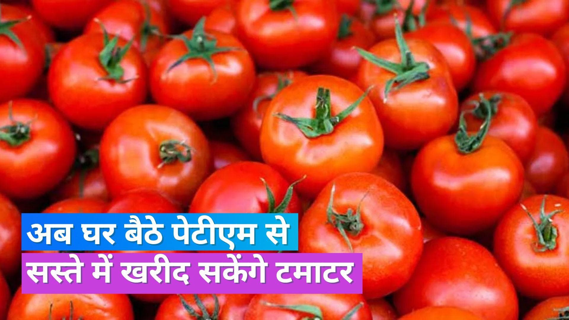 Tomato on Paytm: पेटीएम से सस्ते में कैसे ऑर्डर करें टमाटर, जानें किन शहरों के लोगों को मिलेगा लाभ