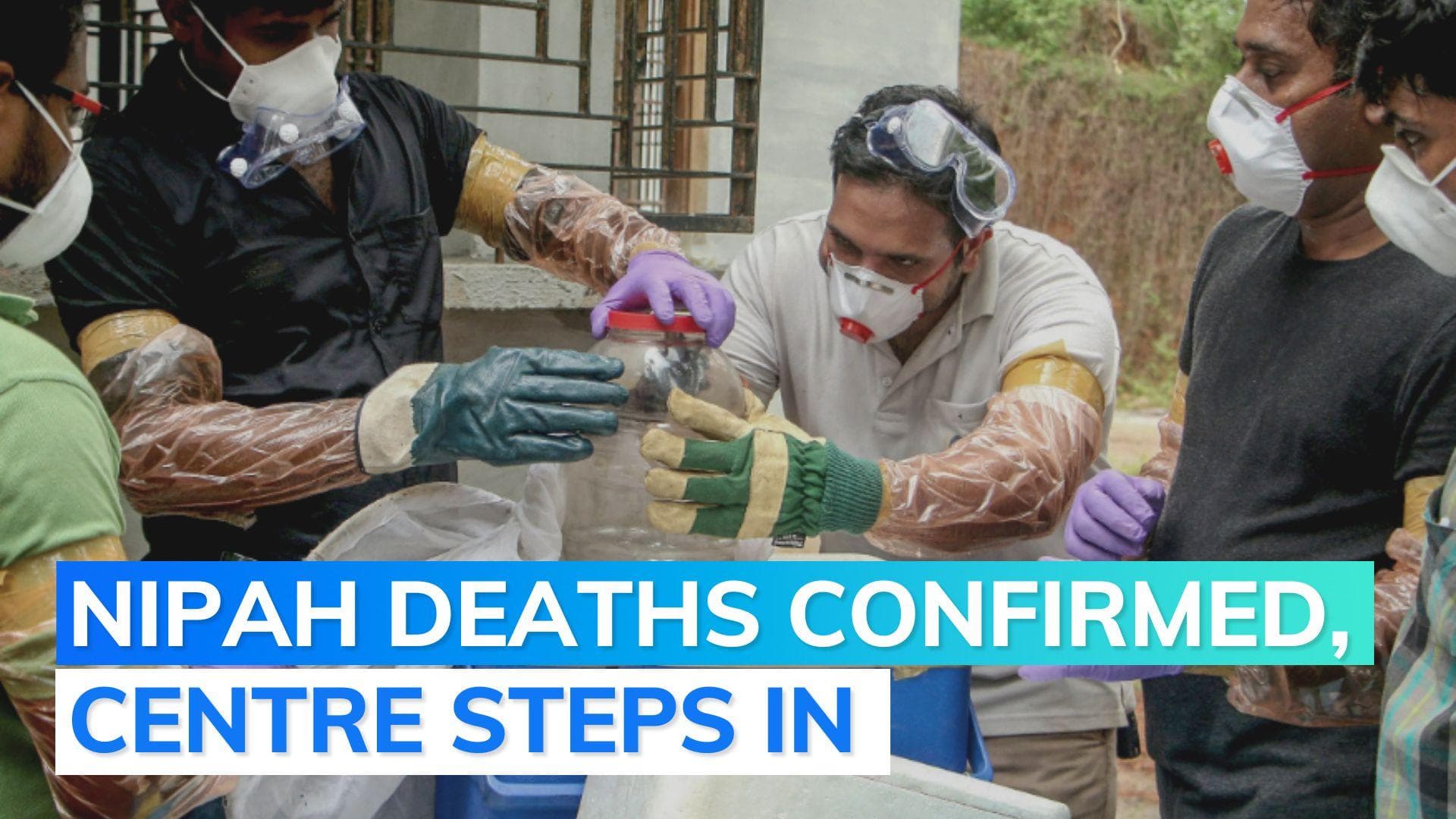 2 deaths in Kerala due to Nipah virus, Union Health Minister confirms