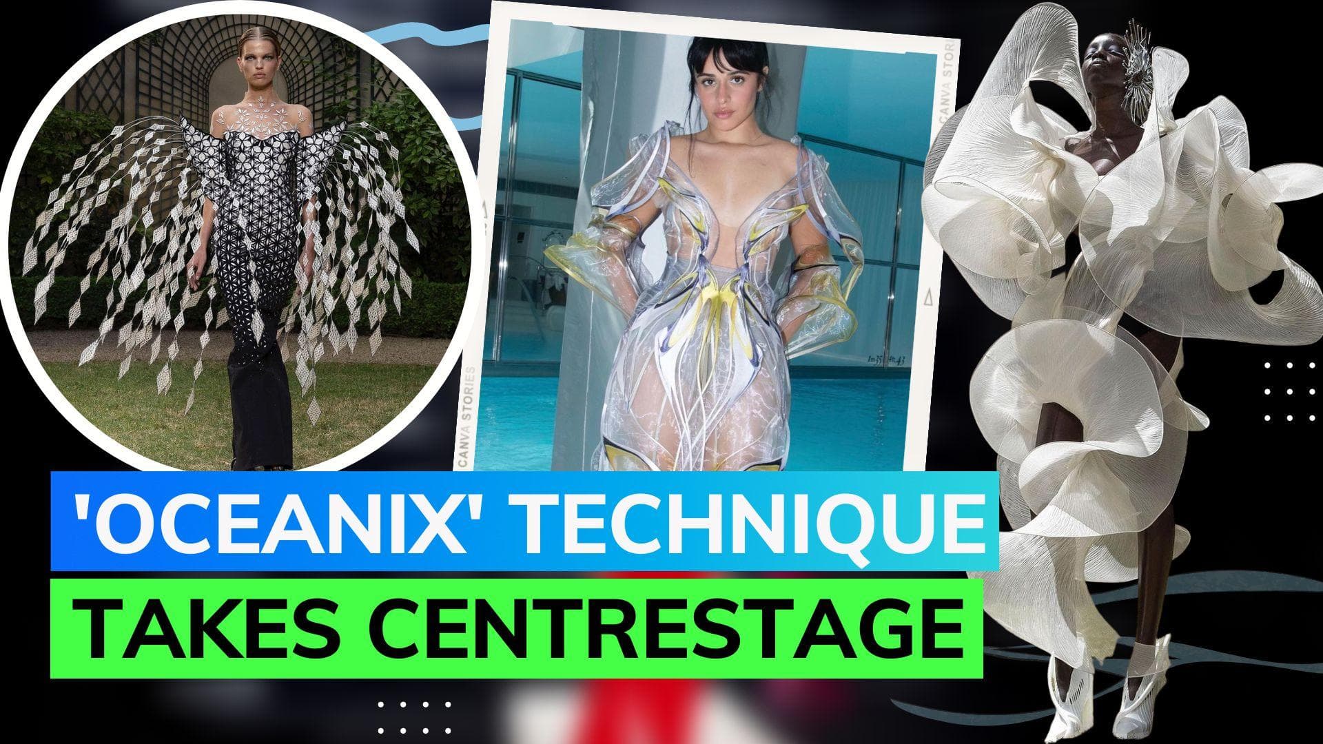 Camila Cabello stuns in sheer attire for Iris van Herpen's show, have a look at designer's collection
