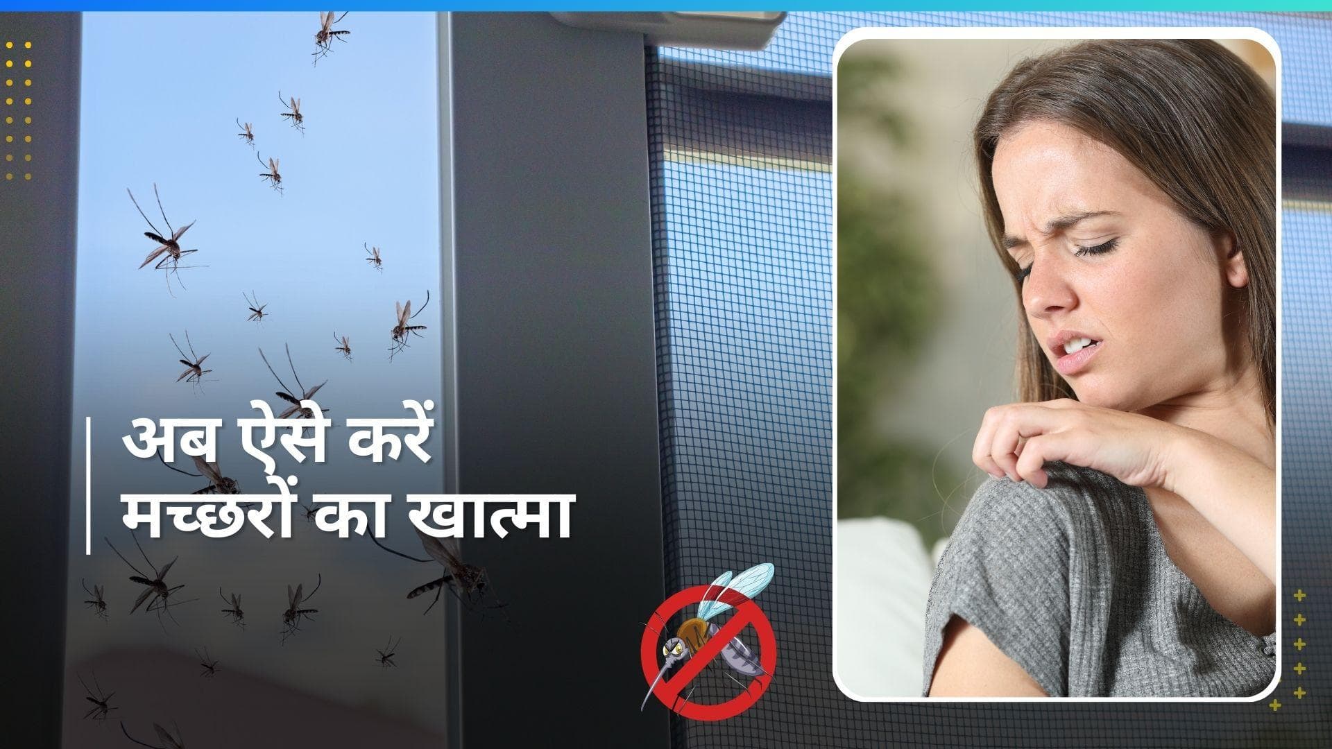 Mosquitoes: मच्छरों ने काट-काटकर कर दिया है परेशान? ये घरेलू तरीके आजमाकर घर से भगाएं मच्छर