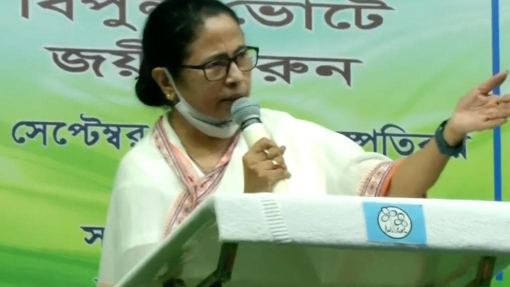 Mamata Banerjee: ভবানীপুর থেকেই মুখ্যমন্ত্রী হওয়া 'ভাগ্যে ছিল', প্রচারে বললেন মমতা