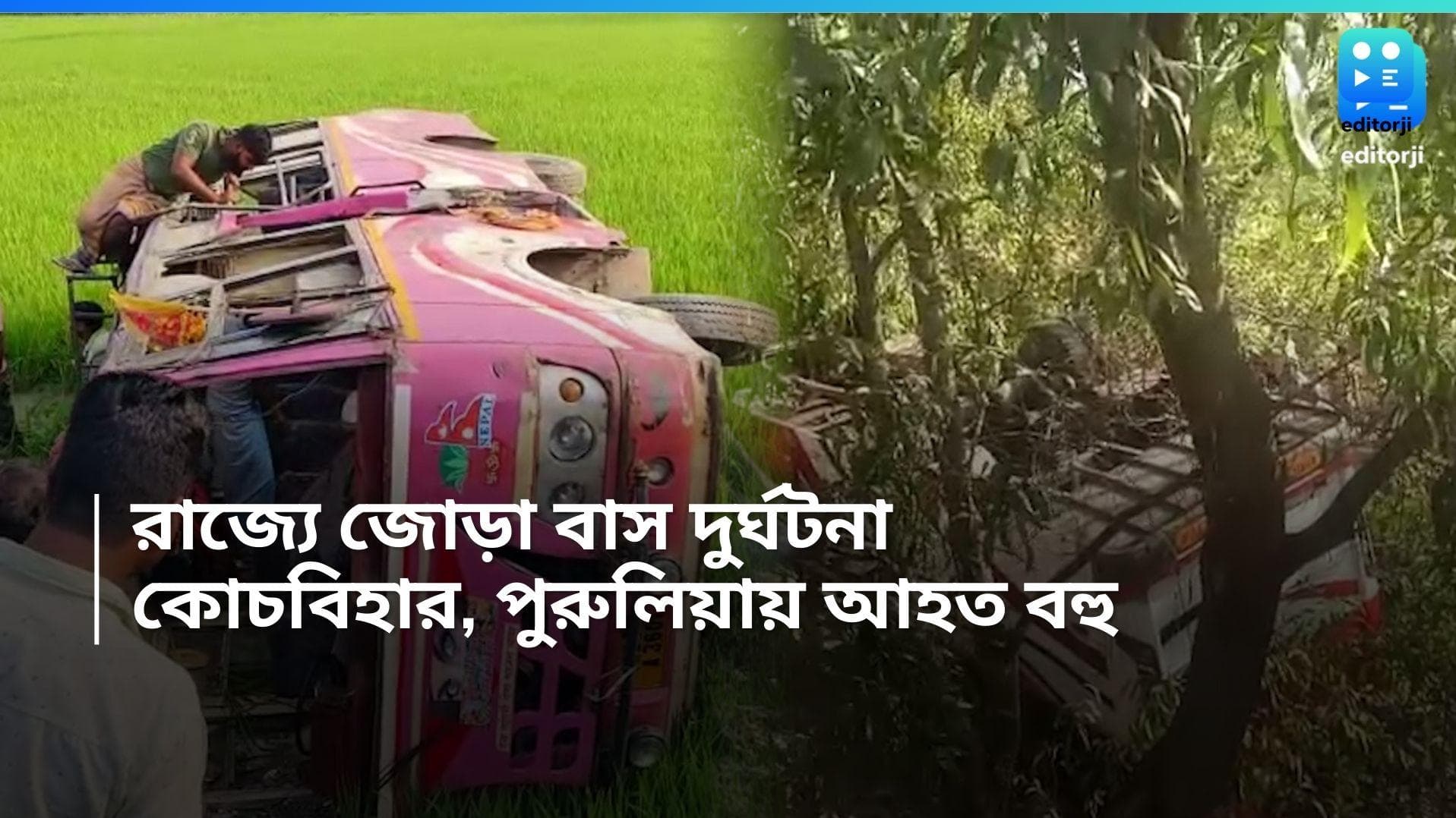 Bus Accident: ভোট দিতে এসে দুর্ঘটনার কবলে পরিযায়ীদের বাস, পুরুলিয়াতেও বাস উল্টে জখম ১২ 