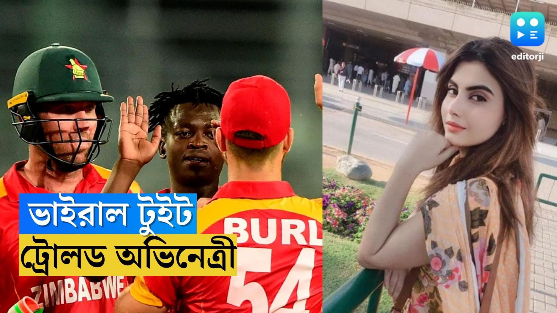 Pakistani Actress Proposed: ভারতকে হারালে বিয়ে করবেন, জিম্বাবোয়ের কাছে শর্ত পাক অভিনেত্রীর 