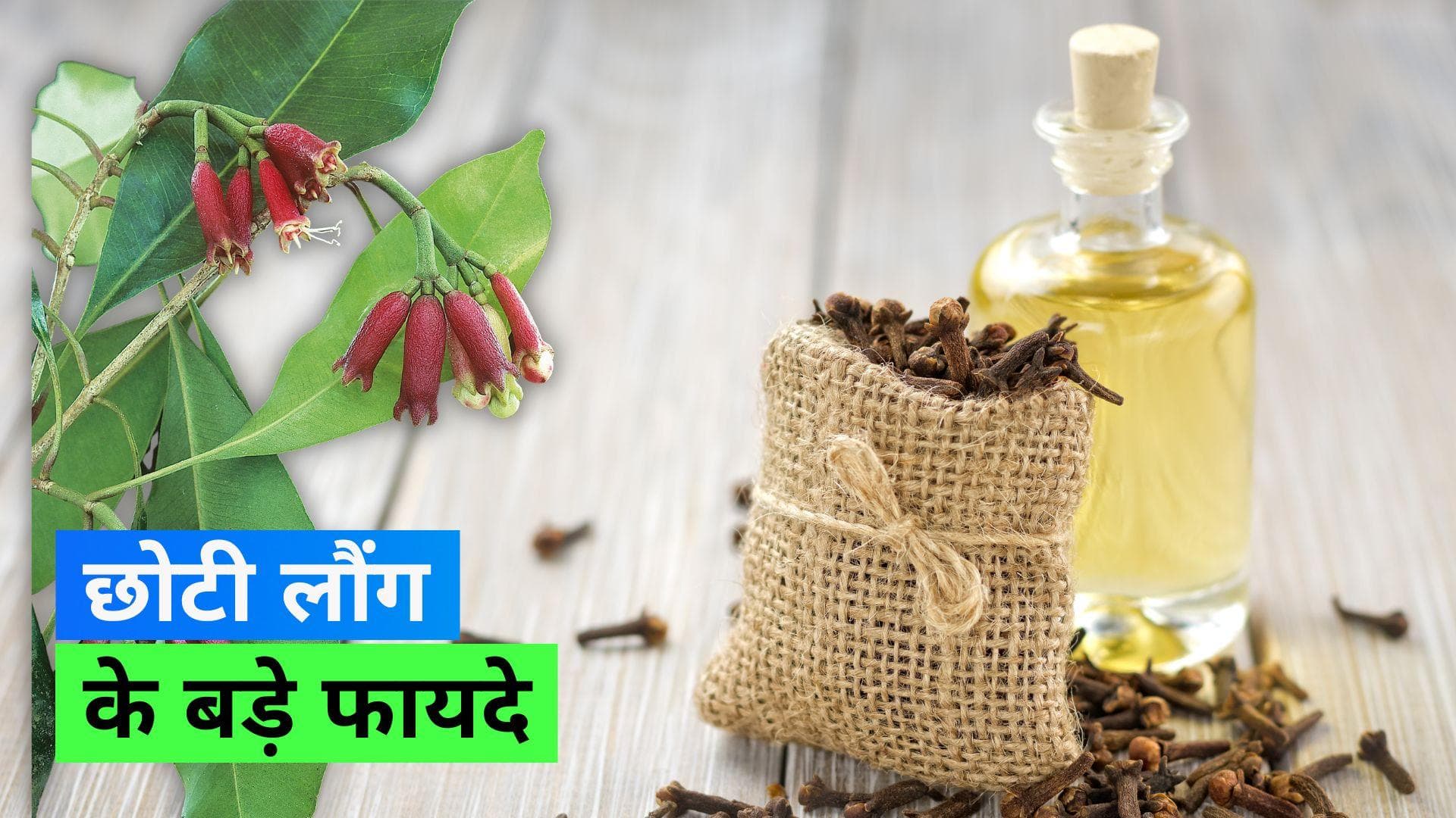 Clove Benefits: रोज़ एक लौंग से कर सकते हैं सिगरेट की क्रेविंग को कंट्रोल