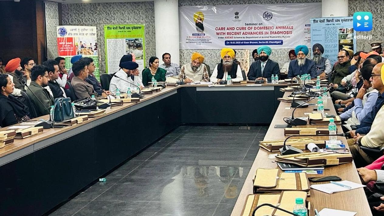 Punjab launches free tetanus vaccination drive for equines