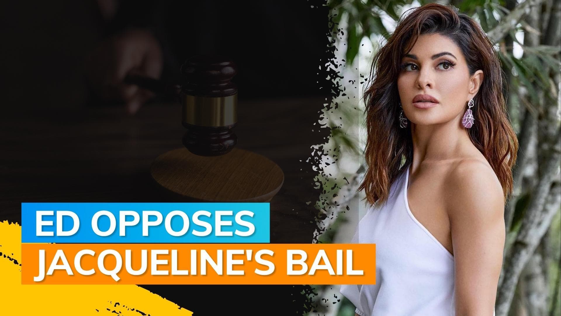 Jacqueline Fernandez tried to flee India, tamper evidence, says ED 