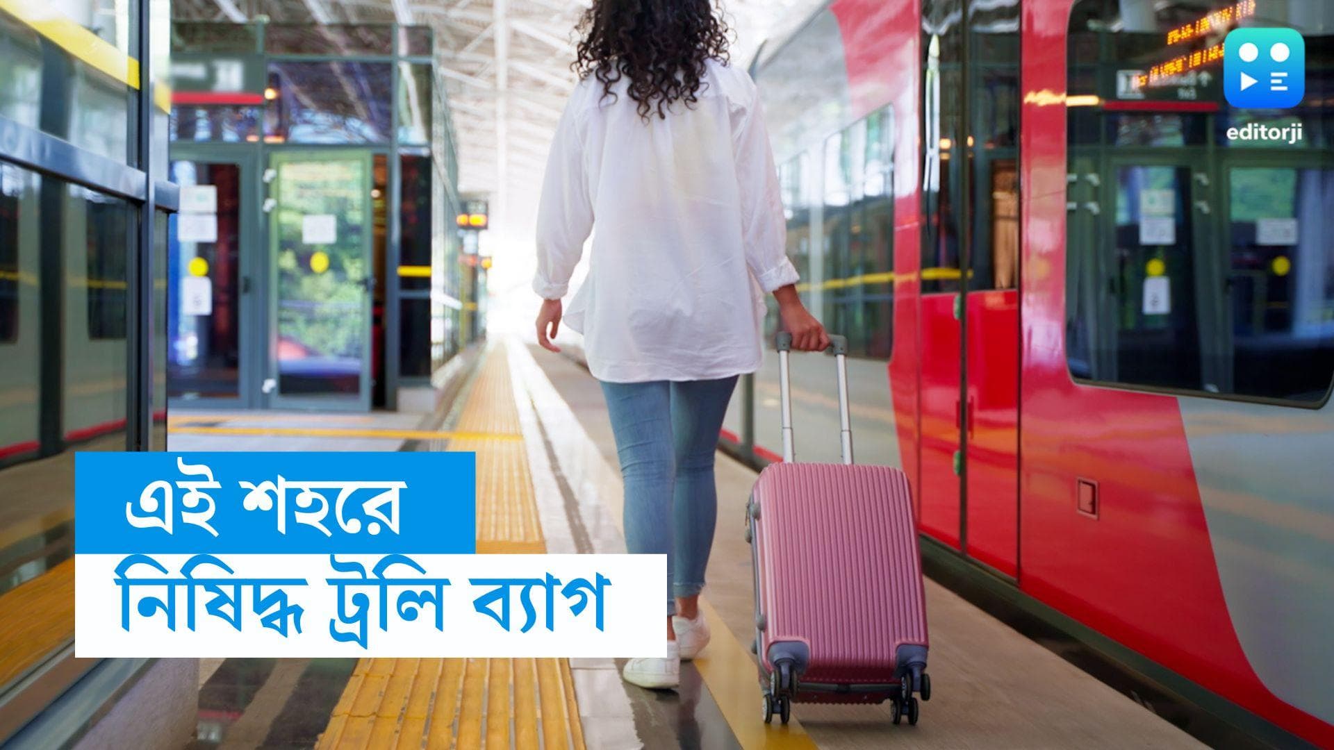 Trolley Banned: এই শহরে ট্রলি নিয়ে ঢুকলেই জরিমানা ২৩ হাজার টাকা , কিন্তু কেন? 
