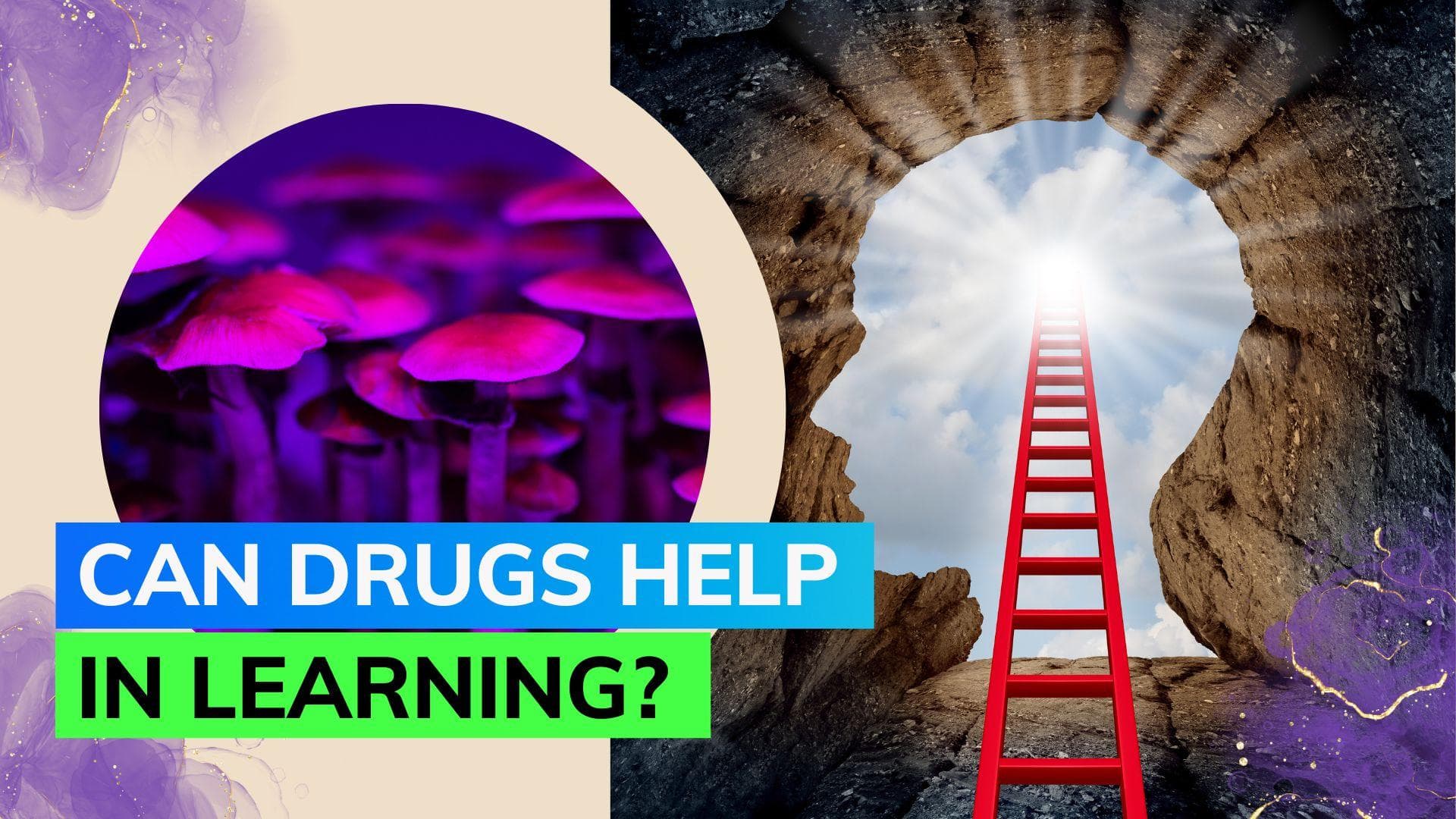 Psychedelic drugs can boost brain's ability to learn new things: Study