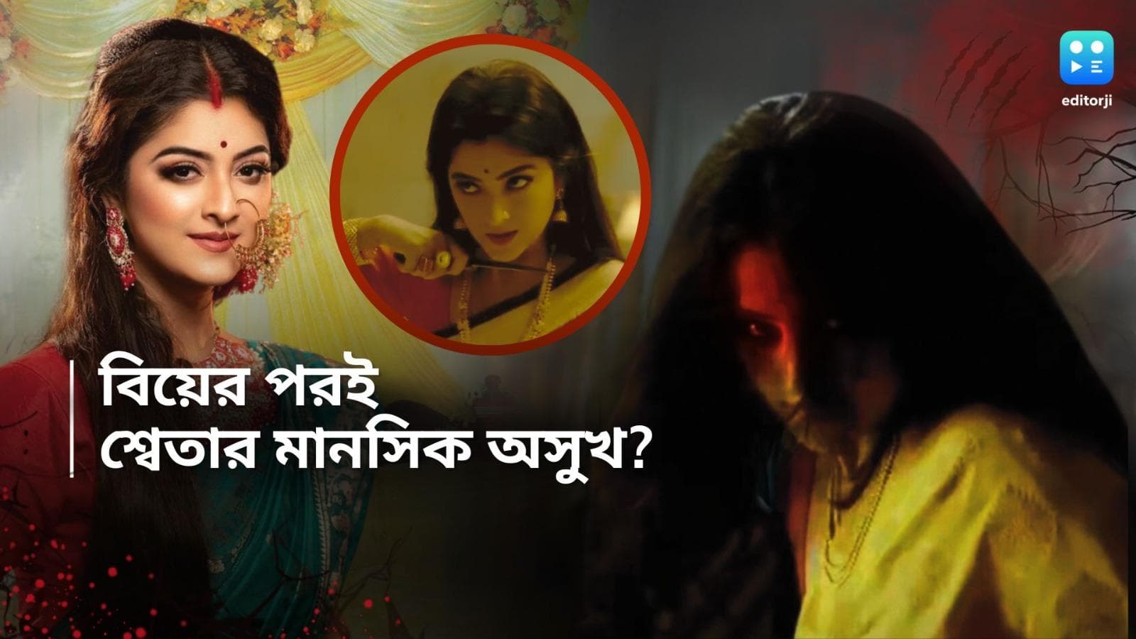 Sweta Bhattacharjee: ফুলশয্যার রাতে ছাদের রেলিং ধরে হাঁটলেন, বিয়ের পরেই কোন মানসিক সমস্যায় ভুগছেন শ্বেতা?