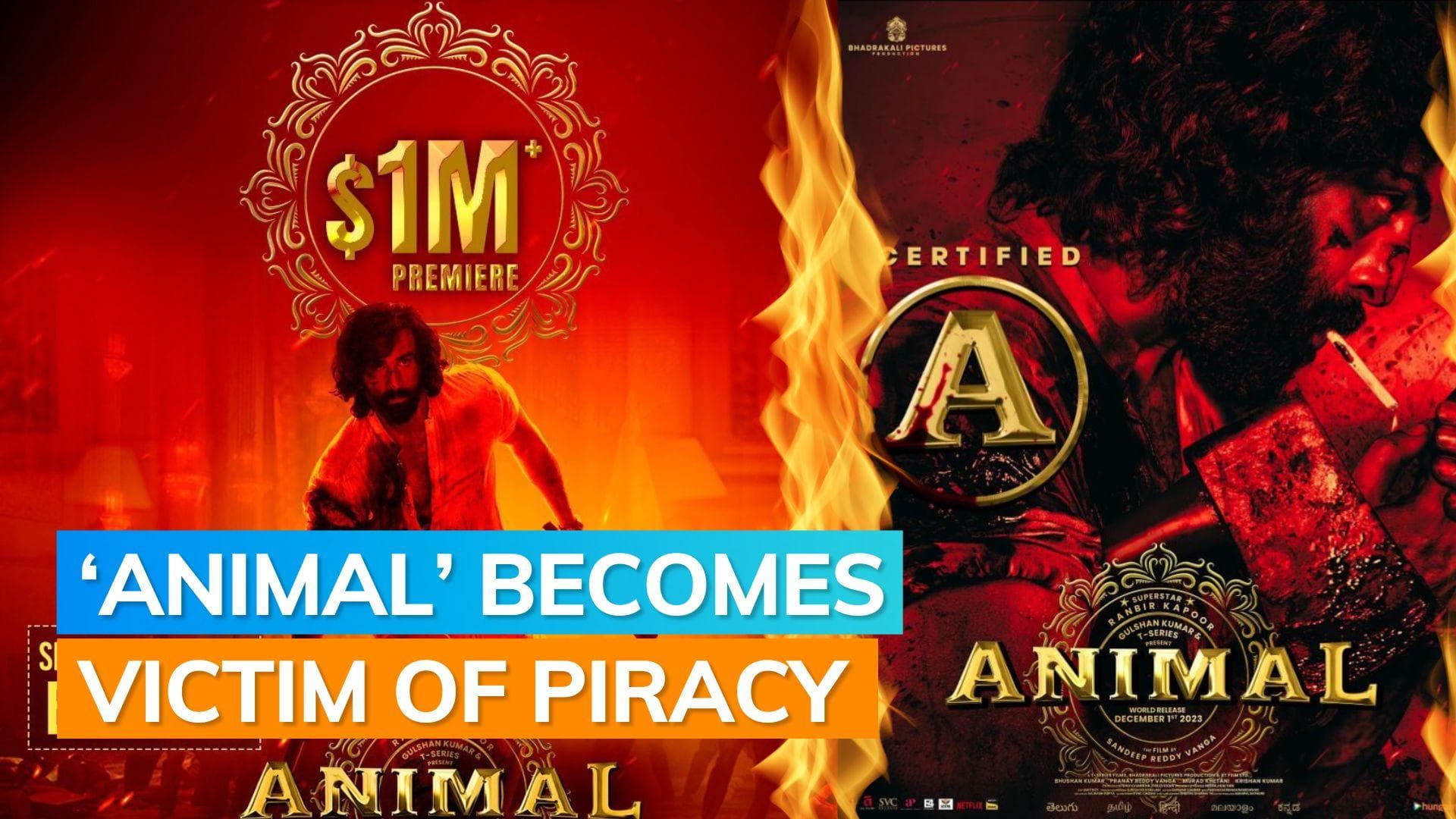 ‘Animal’: Ranbir Kapoor starrer leaks online; intimate scenes with Rashmika, Triptii go viral