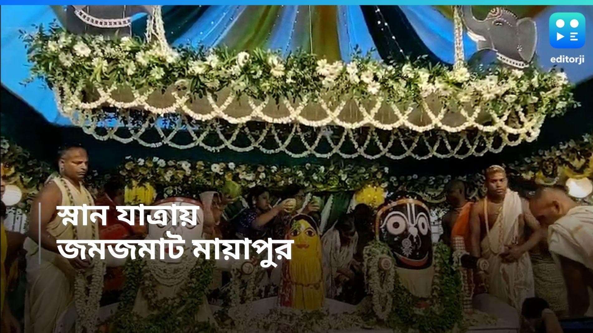 Mayapur ISKON: দুধ ঢেলে জগন্নাথের স্নান, মায়াপুরে দিনভর উৎসবের মেজাজ 