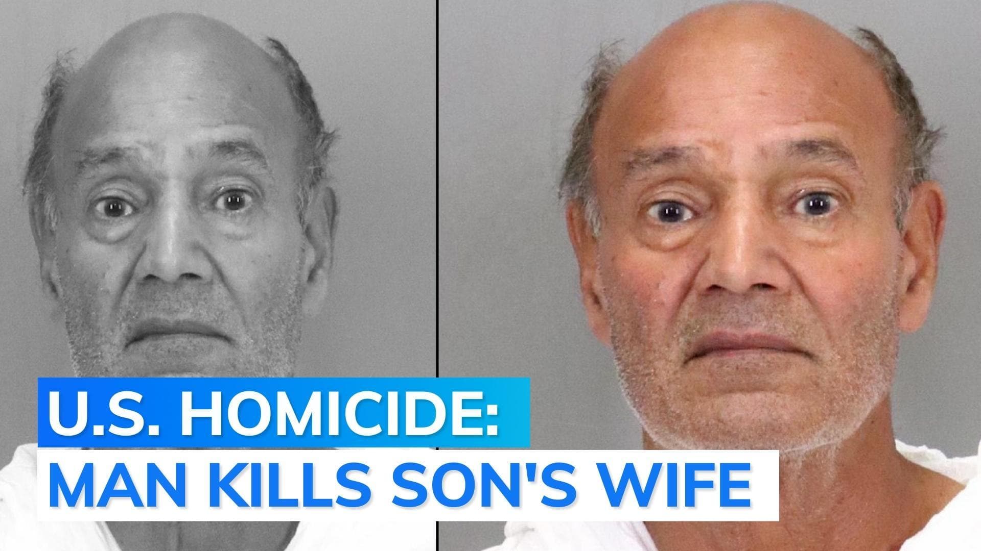 74-year-old Indian-origin man kills his daughter-in-law in US