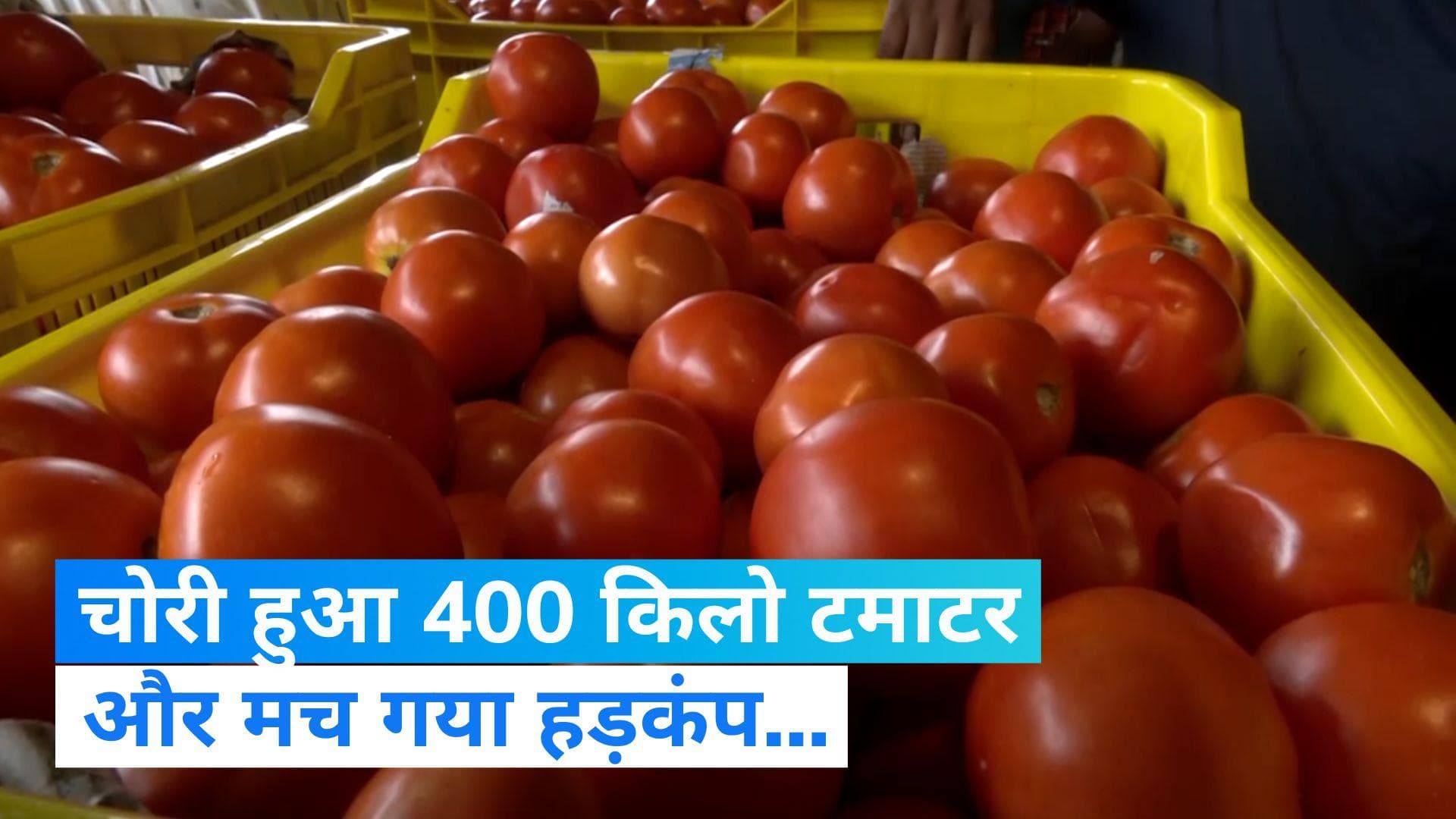 Tomato: किसान के घर से चोरी हुआ 400 किलो टमाटर, तुरंत एक्टिव हुई पुलिस