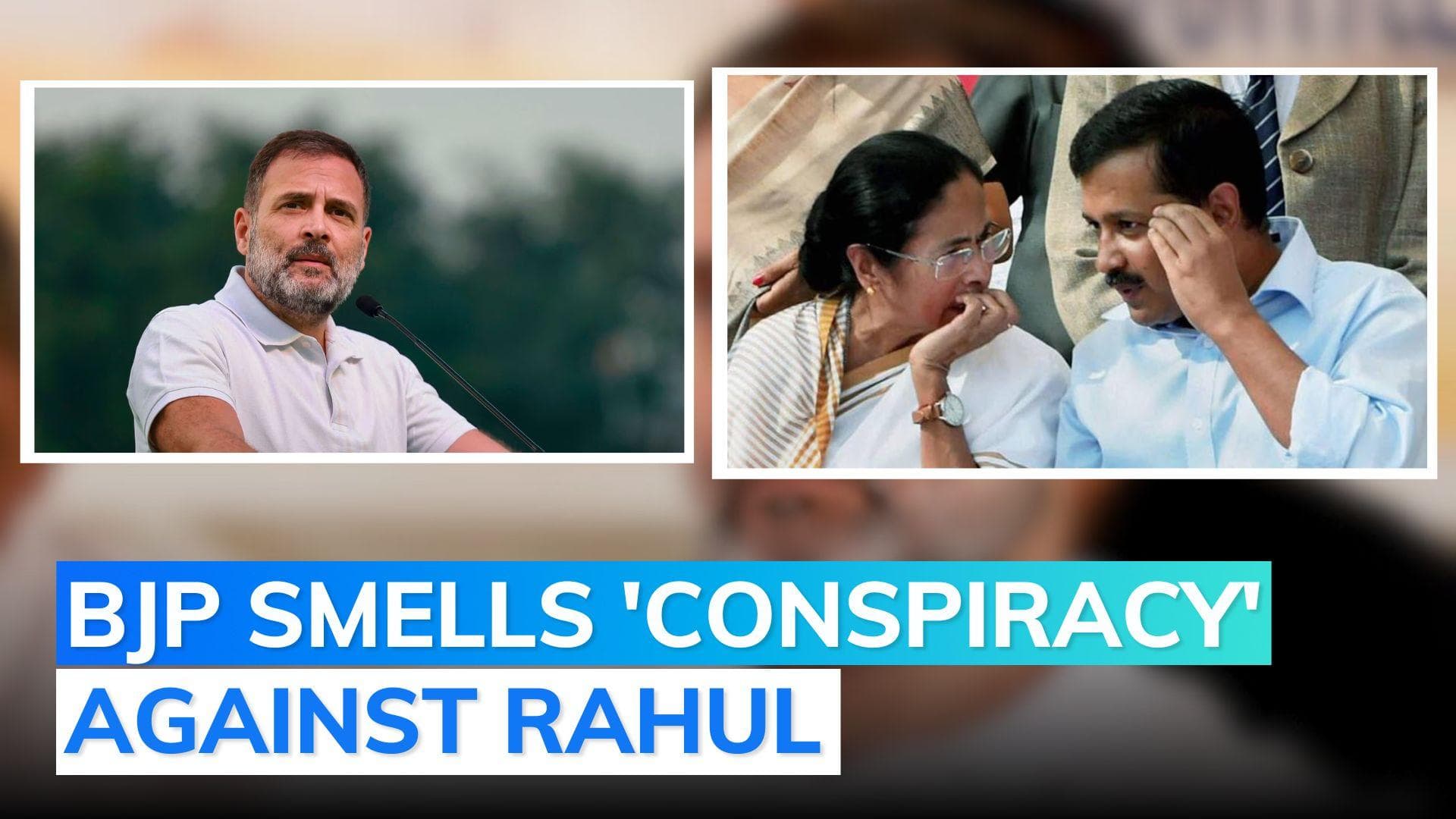 'Trap to oust Rahul Gandhi': BJP leader on Kharge as INDIA bloc's PM candidate proposal