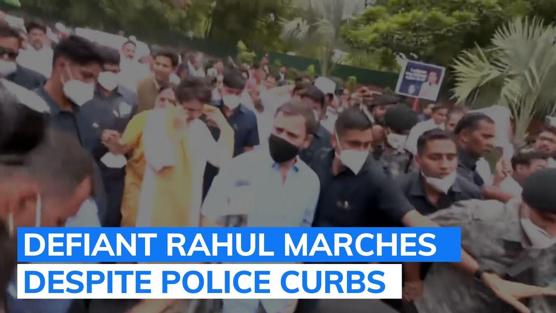 National Herald case: Defiant Rahul Gandhi marches to ED office despite curbs | Watch 