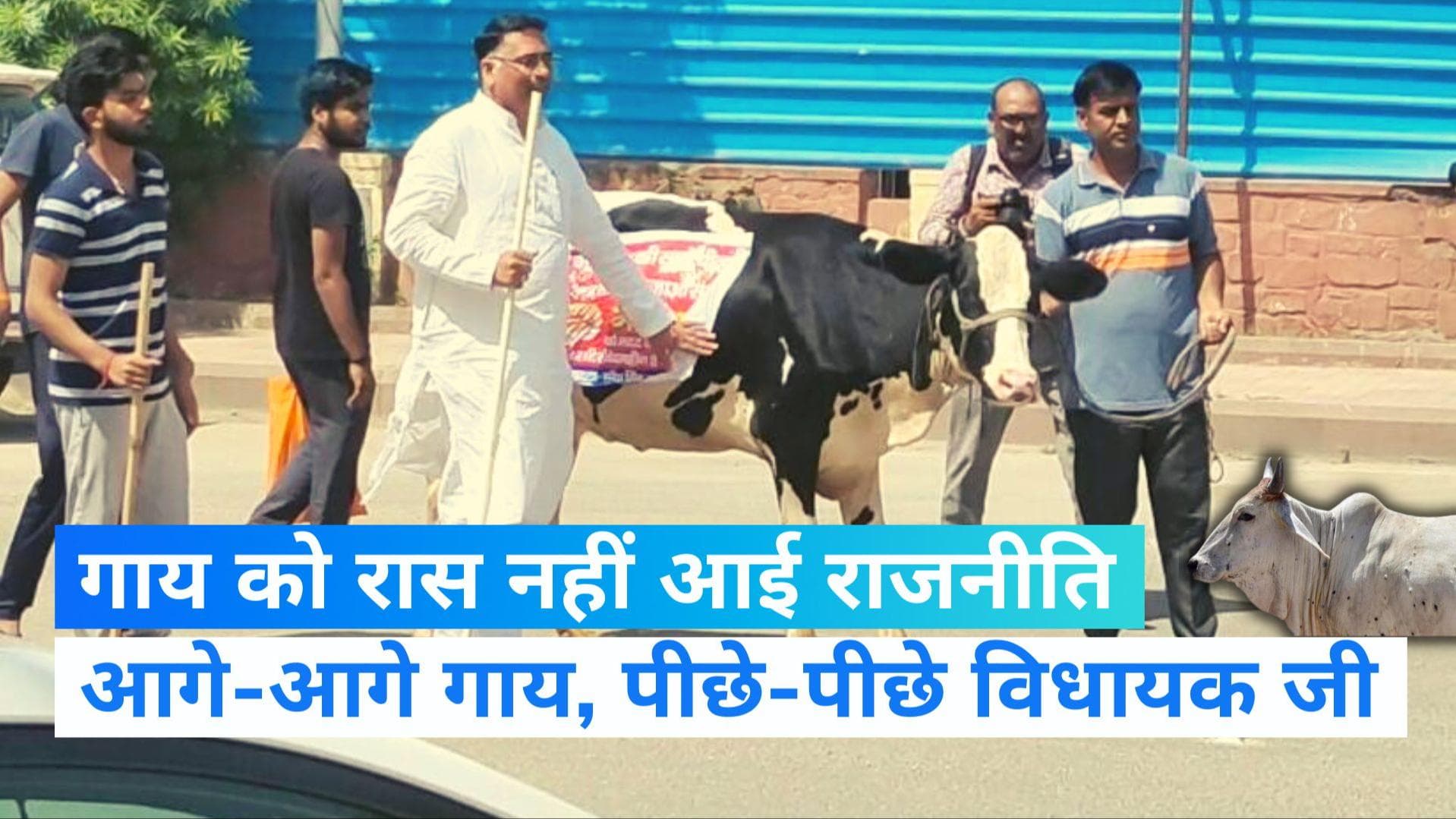 Lumpy Virus: गाय को रास नहीं आई विधायक जी की राजनीति, रस्सी छुड़ाकर भागी तो बोले सरकार से नाराज है