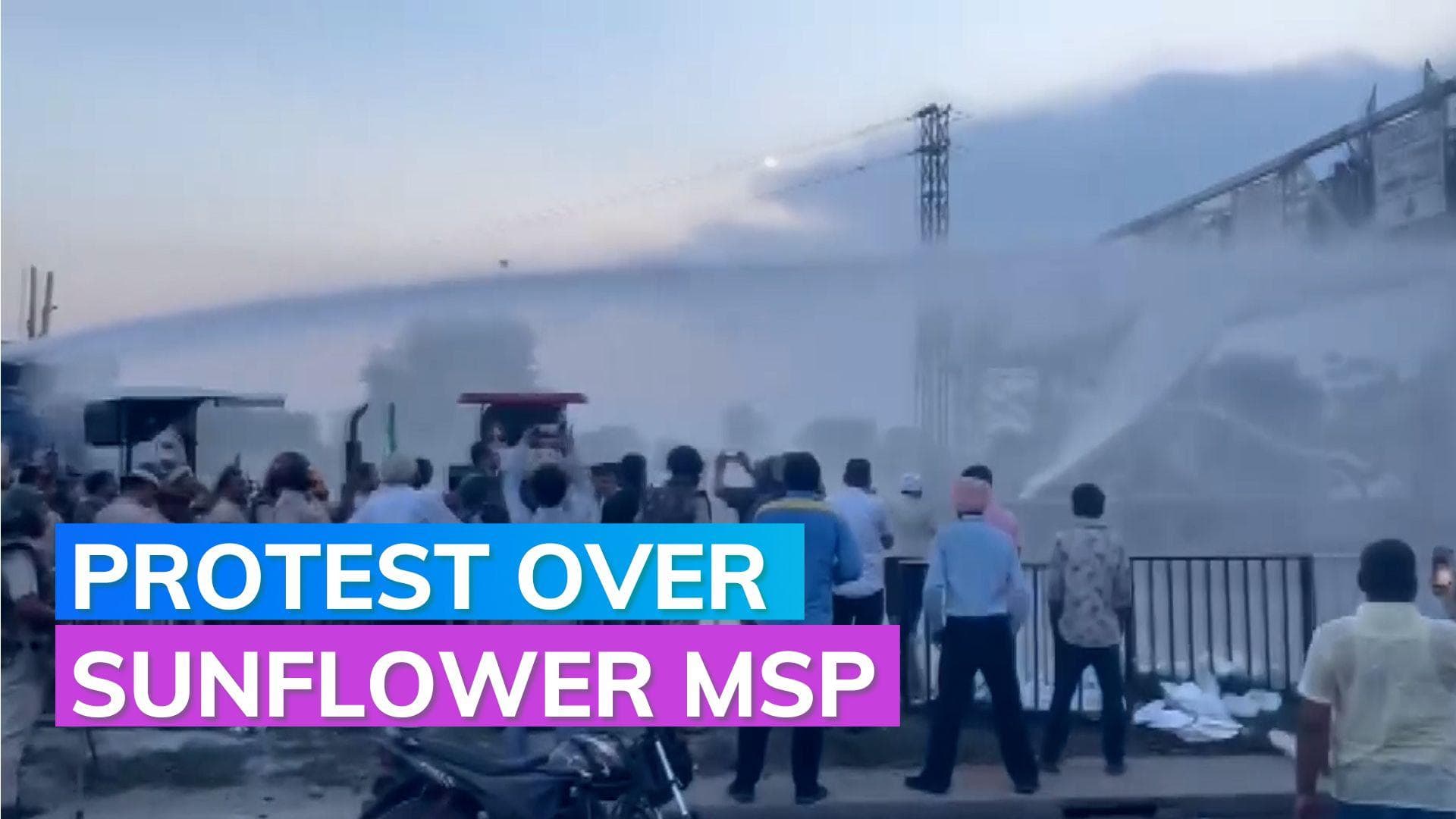 Sunflower MSP issue: farmers block national highway near Kurukshetra's Shahabad