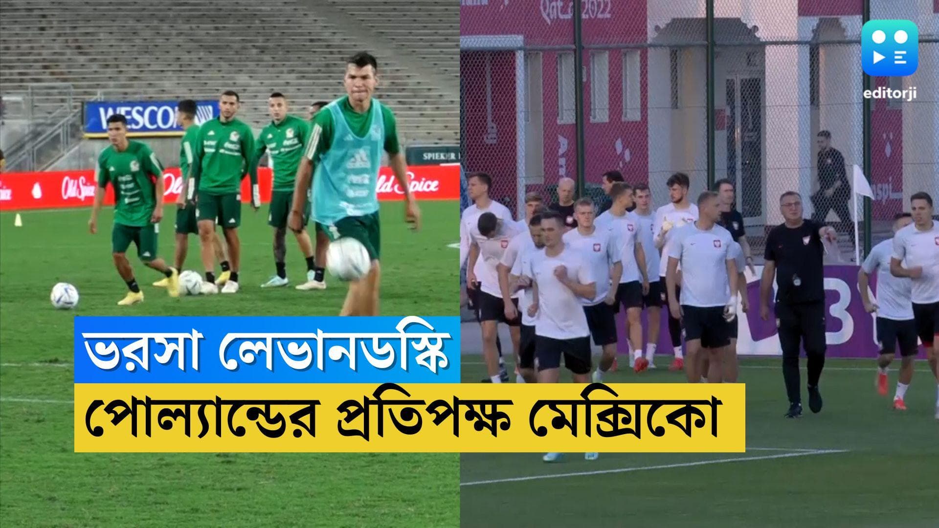 FIFA World Cup Poland Vs Mexico : মঙ্গলে যাত্রা শুরু পোল্যান্ডের, নজর সেই লেভানডস্কির উপরেই