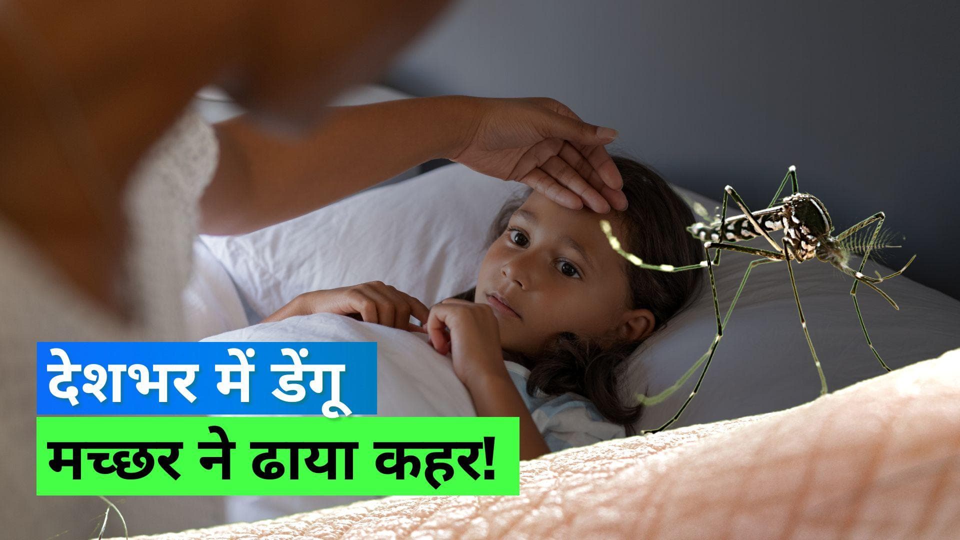 Dengue Fever: देश में डेंगू ने पसारे पांव, जानिए क्या है डेंगू के लक्षण और बचाव