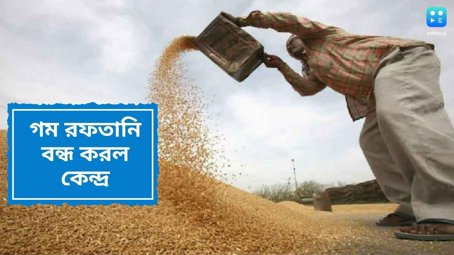 Wheat Export Ban: ক্রমাগত মূল্যবৃদ্ধিতে আশঙ্কিত ভারত, গম রফতানি আপাতত বন্ধের সিদ্ধান্ত কেন্দ্রের
