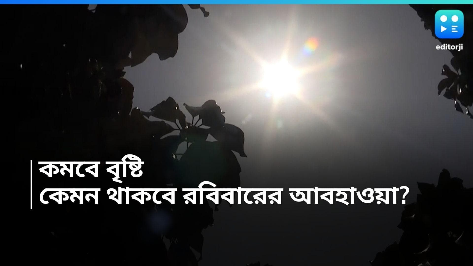 Weather update: রবি-সোম বিক্ষিপ্ত বৃষ্টি, কবে থেকে হাওয়া বদলের সম্ভাবনা? জেনে নিন ওয়েদার রিপোর্ট