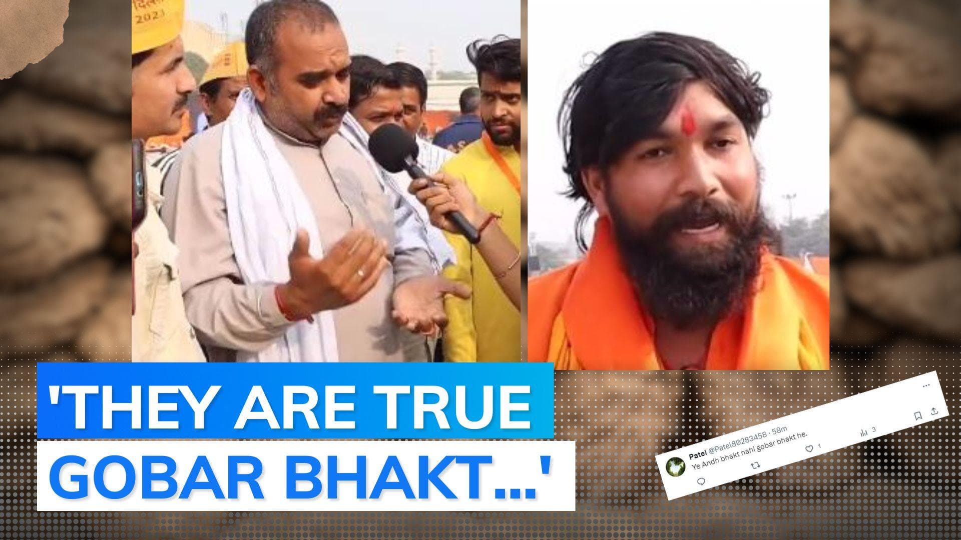 'Cow dung has oxygen & its urine can...': Men's claim leaves internet shocked, video goes viral