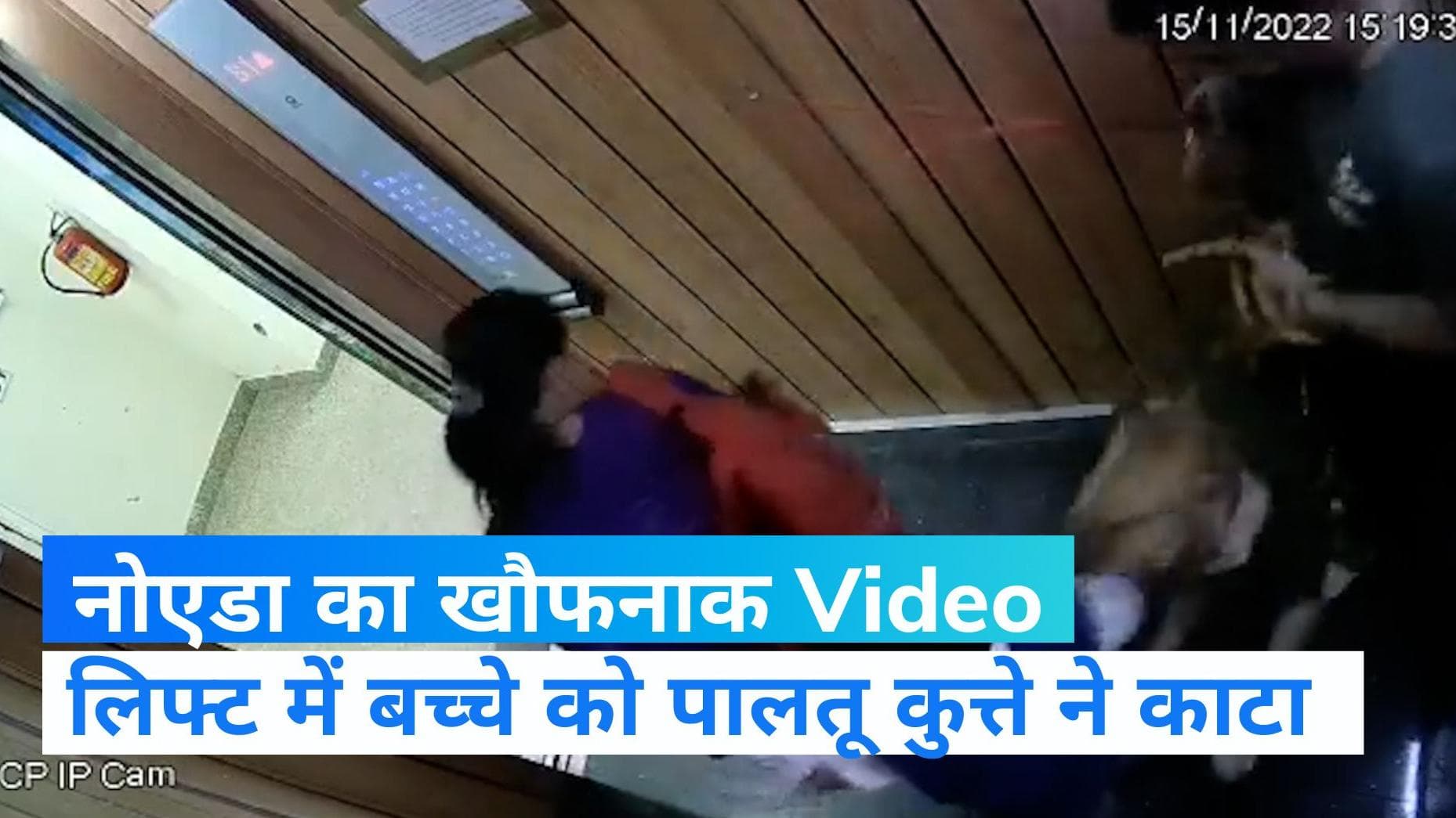 Greater Noida: ग्रेटर नोएडा में पालतू कुत्ते का आतंक! लिफ्ट में कुत्ते ने बच्चे को काटा...CCTV Video