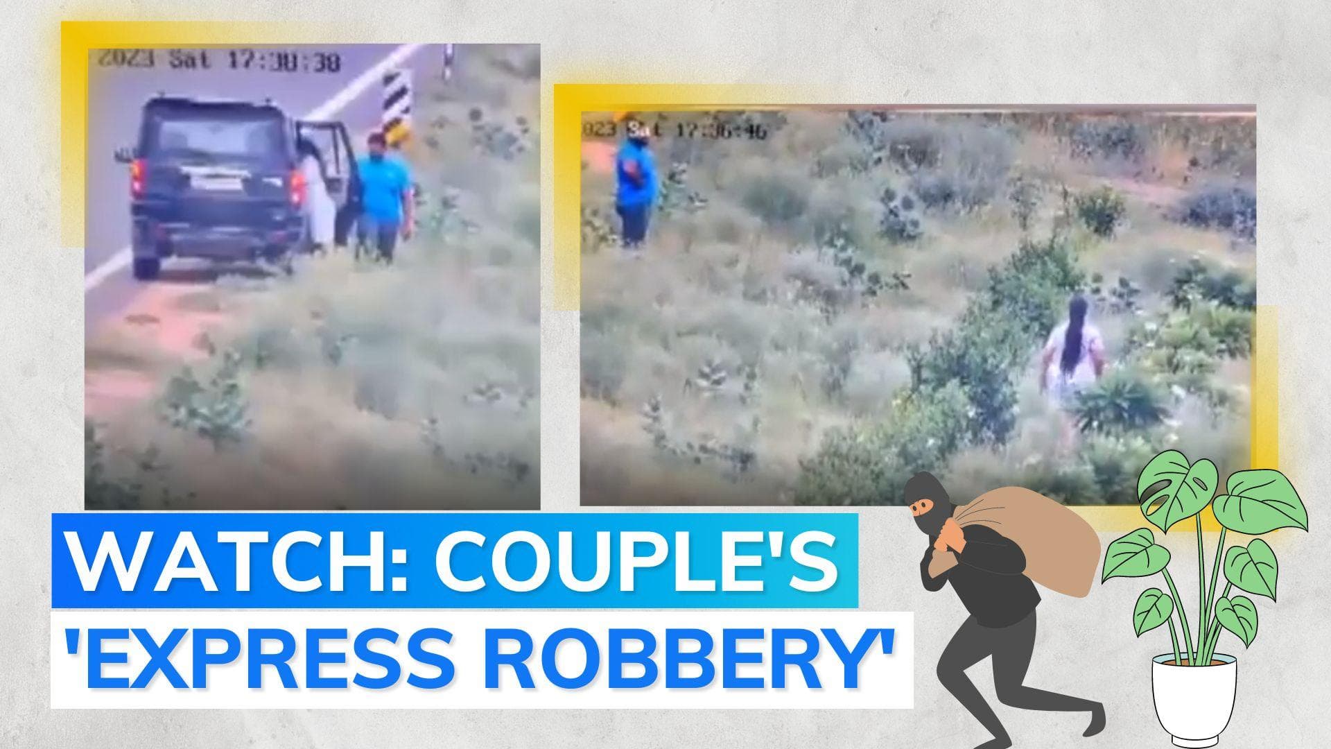 Caught on cam: couple stealing plants alongside Delhi-Mumbai Expressway