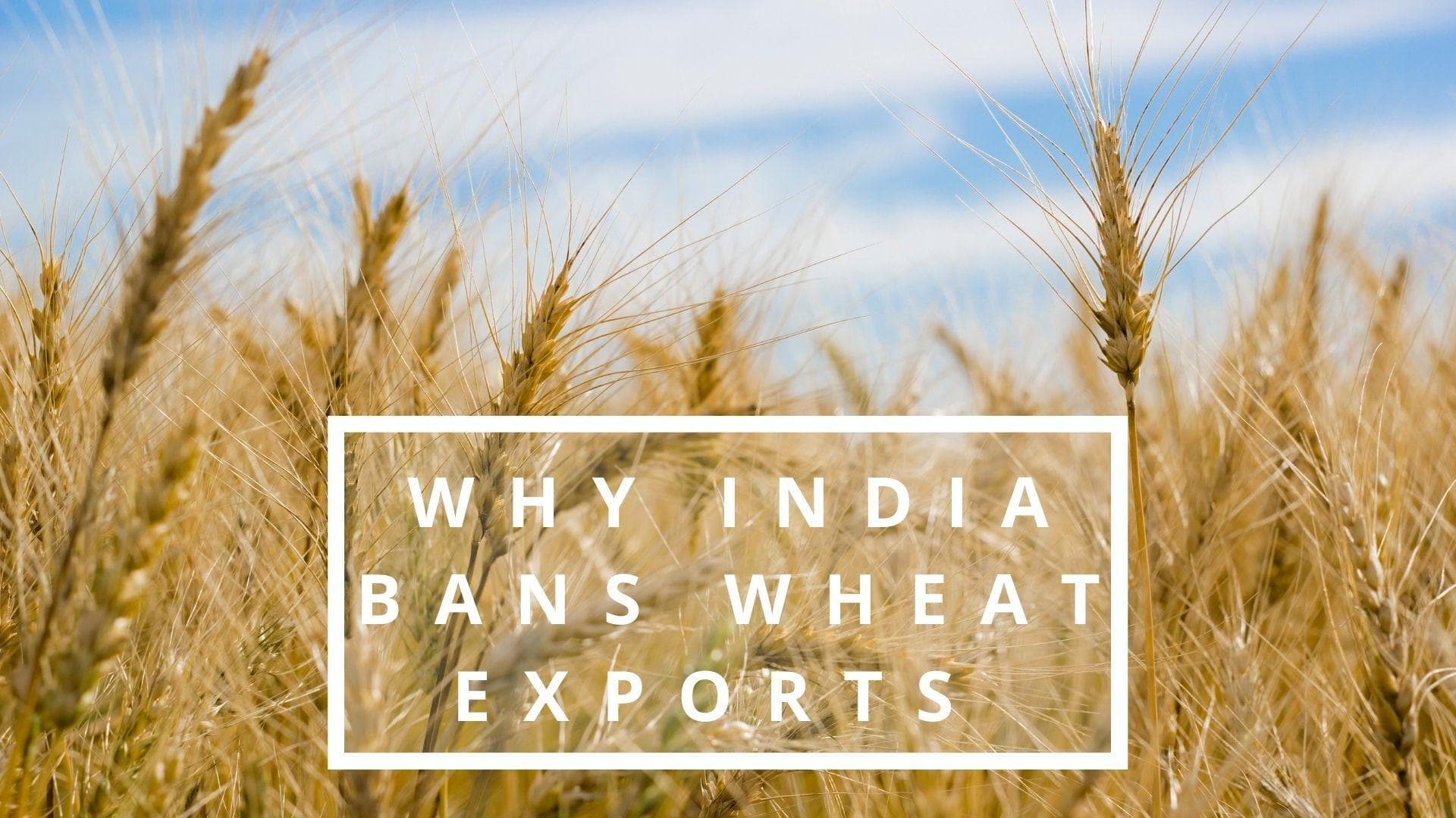 EJ Explains| Why India has banned wheat exports 