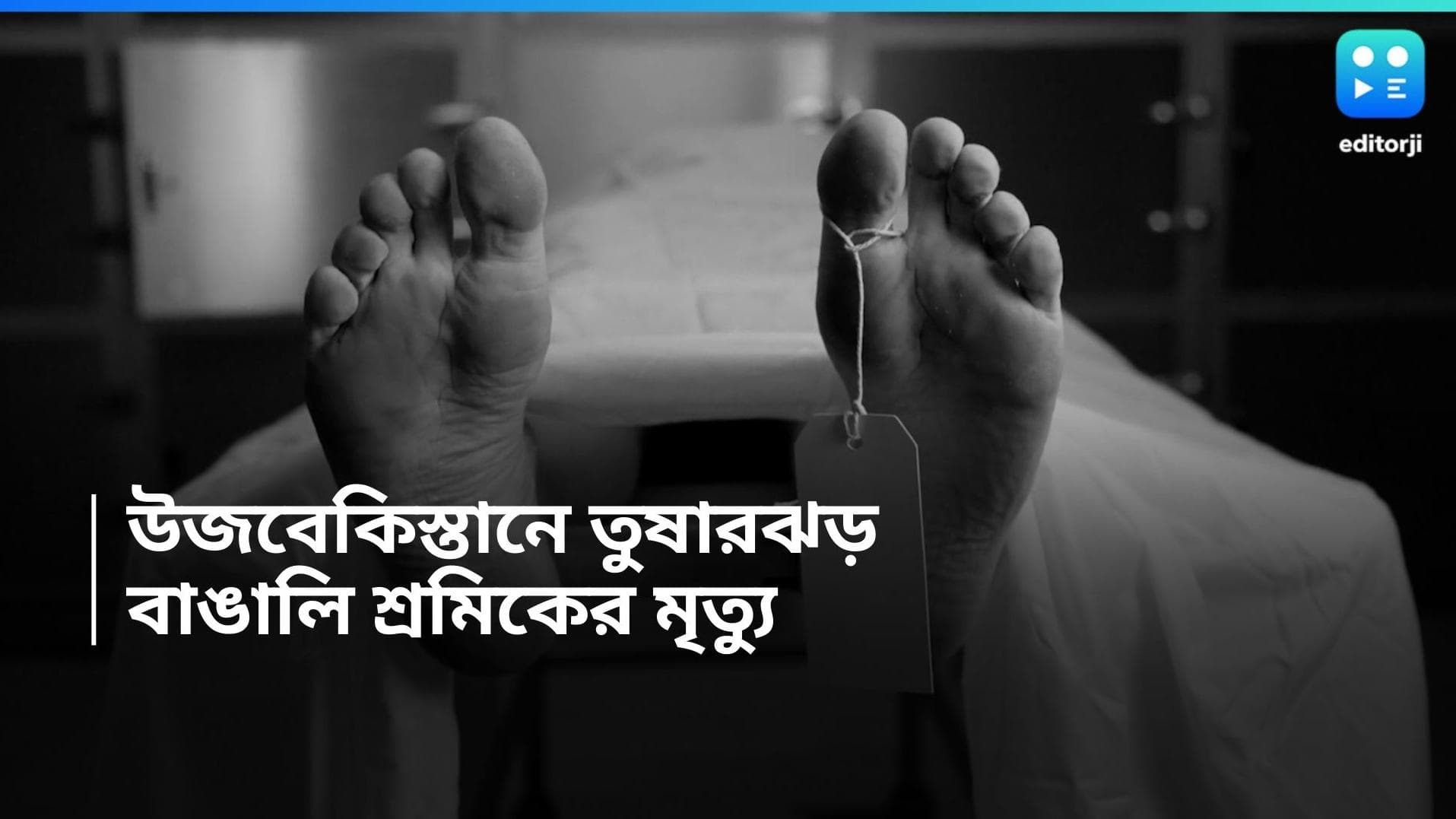 Uzbekistan: তুষার ঝড়ে ভেঙে পড়ল ওয়ার্কশপ, উজবেকিস্তানে মৃত্যু বাংলার শ্রমিক-সহ ১২ জনের