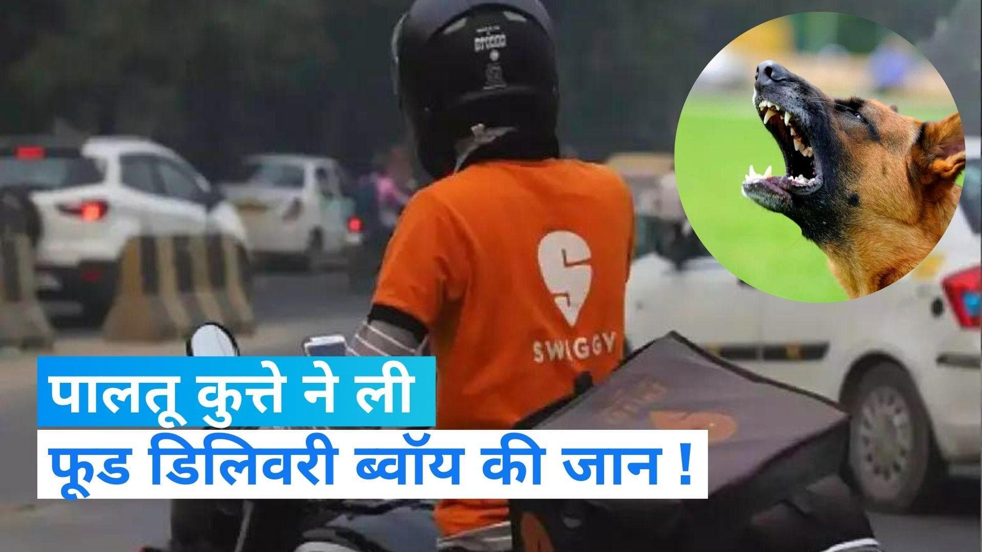 Food Delivery Boy Died: पालतू कुत्ते के डर से तीसरी मंजिल से कूदा Swiggy डिलीवरी ब्वॉय, चार दिन बाद मौत