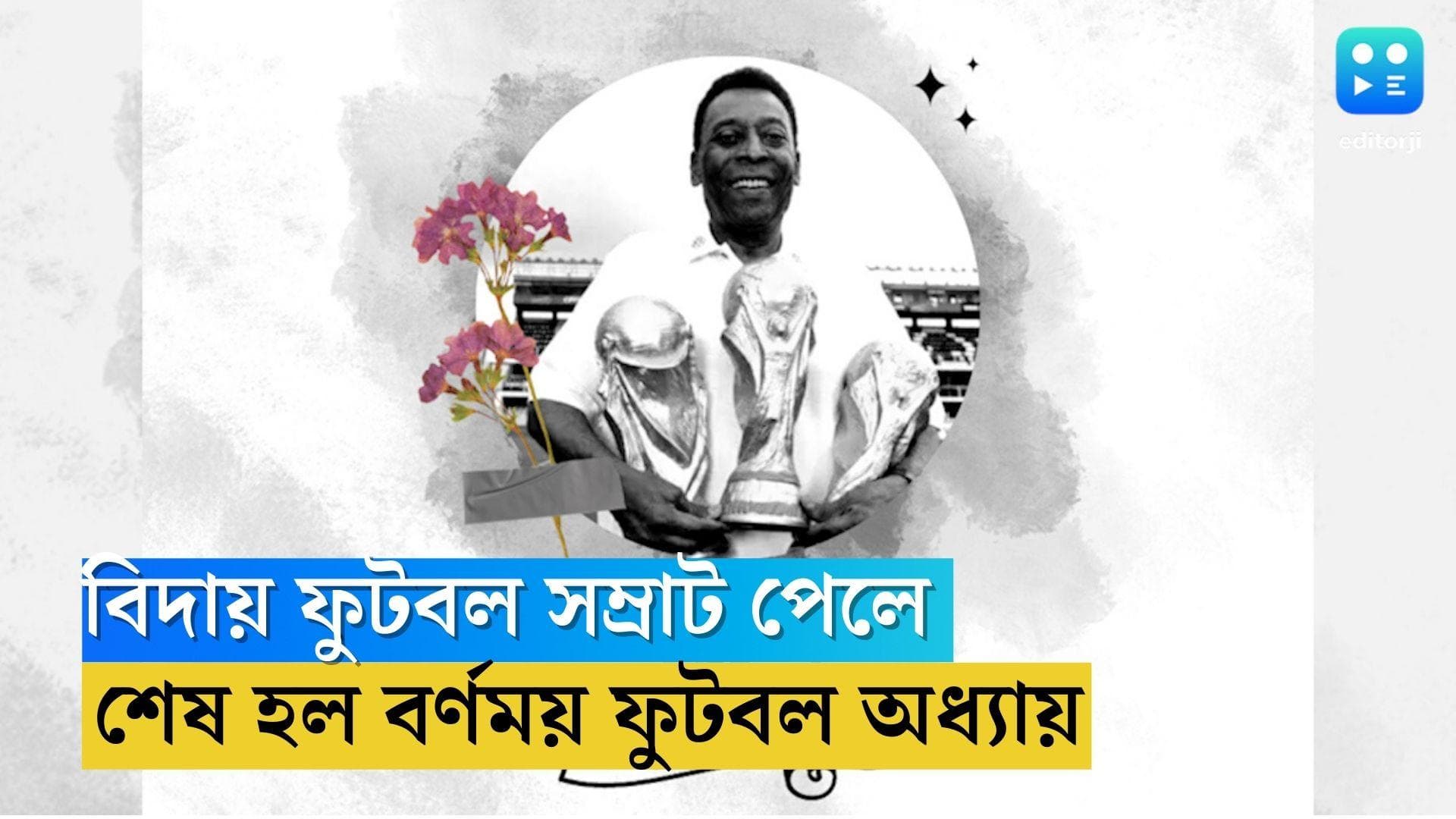 Pele Dies: থামল বর্ণময় ফুটবল অধ্যায়, বিদায় সম্রাট পেলে, নিঃসঙ্গ হল ফুটবল