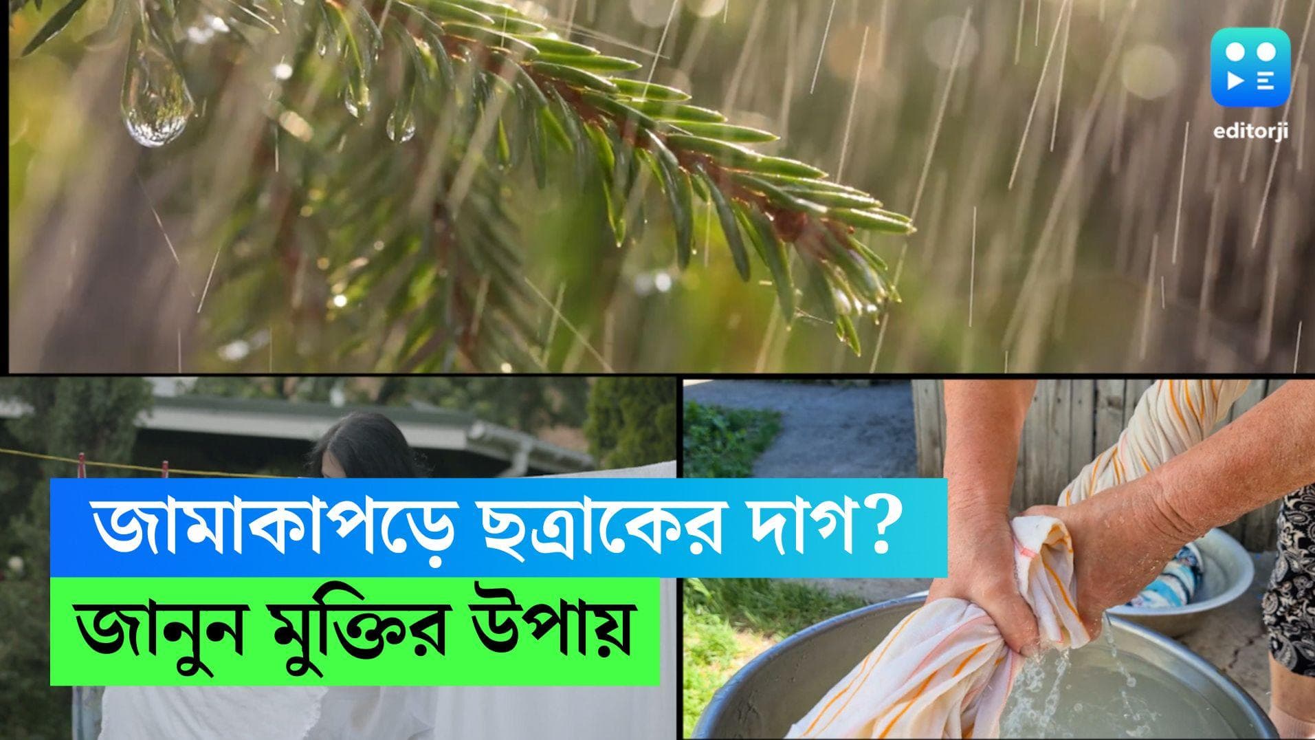 Rain Water Stains Remove: বর্ষায় জামা কাপড়ে ছত্রাকের দাগ ধরেছে, পরিষ্কার করুন হেঁসেলের এই জিনিসগুলি দিয়ে 