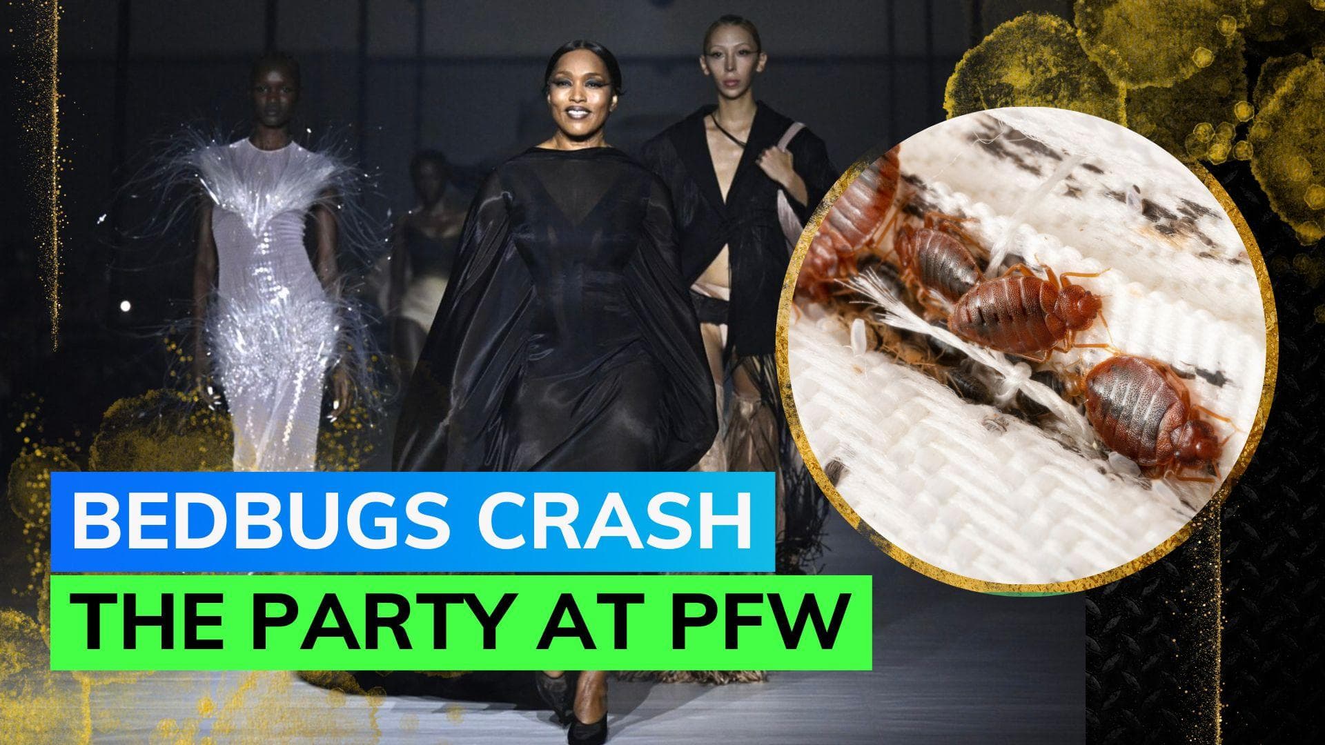 Couture crisis: Paris Fashion Week grapples with widespread bedbug invasion