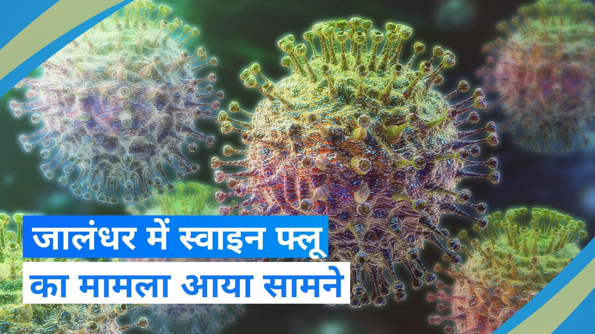 Punjab News: जालंधर में स्वाइन फ्लू का मामला आया सामने, अलर्ट हुआ स्वास्थ्य विभाग