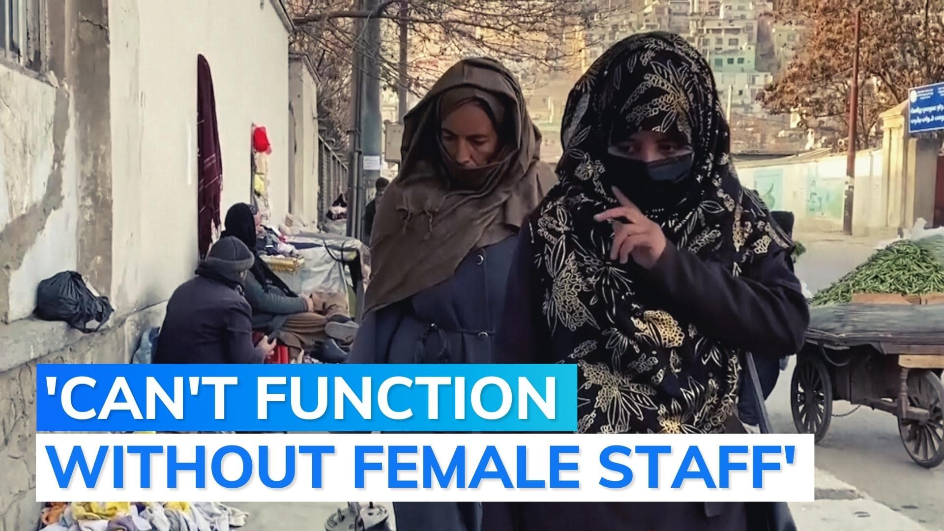 Foreign NGOs suspend Afghanistan operations after Taliban ban women employees