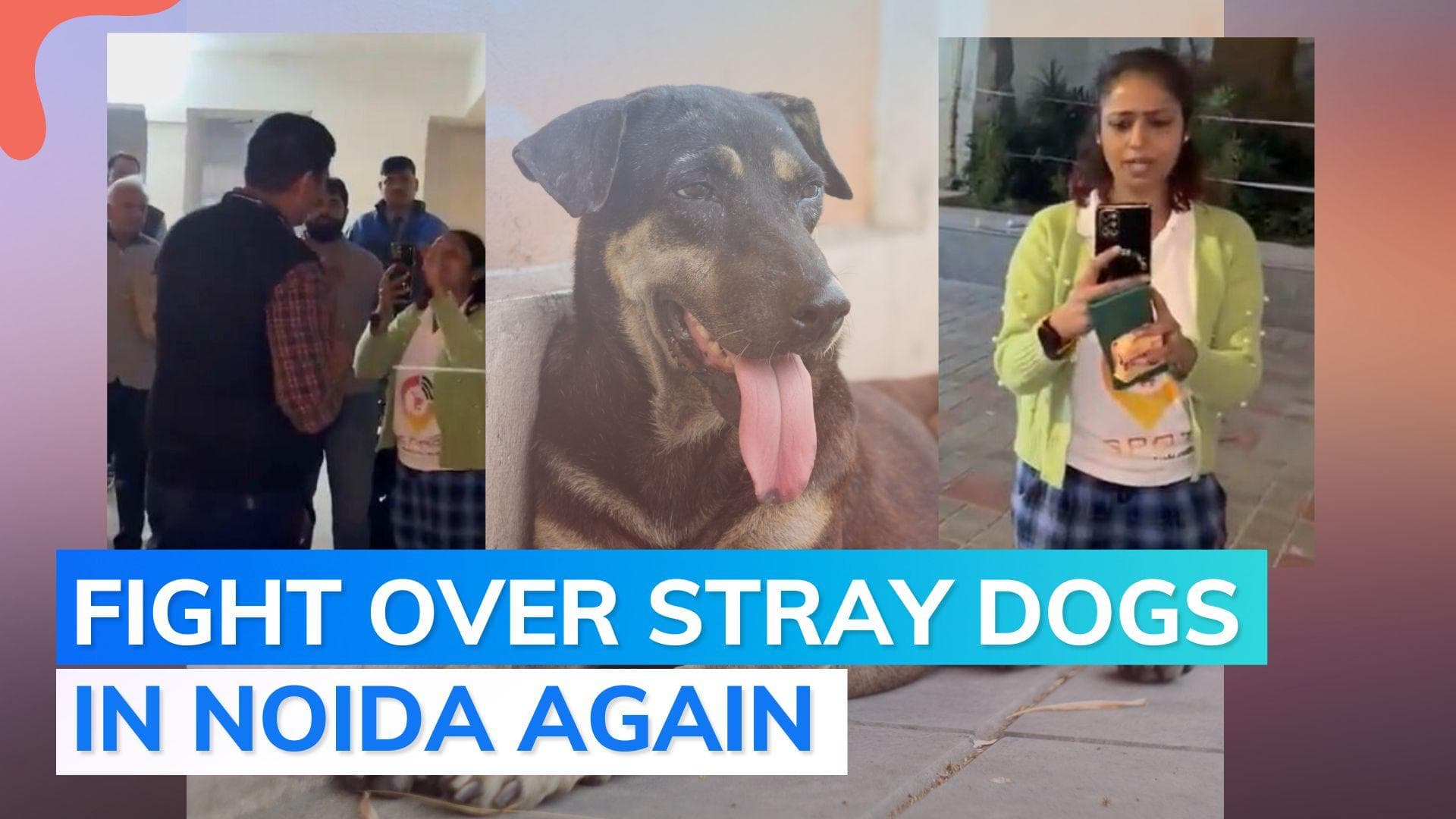 Feeding dogs leads to 2-hour-long heated argument in Noida society, video goes viral