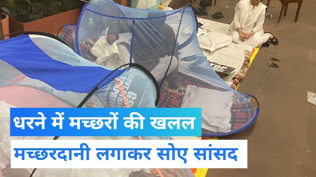 Opposition Protest: मच्छरों से परेशान हुए धरने पर बैठे सांसद, मच्छरदानी और क्वाइल जलाकर संसद भवन में सोए