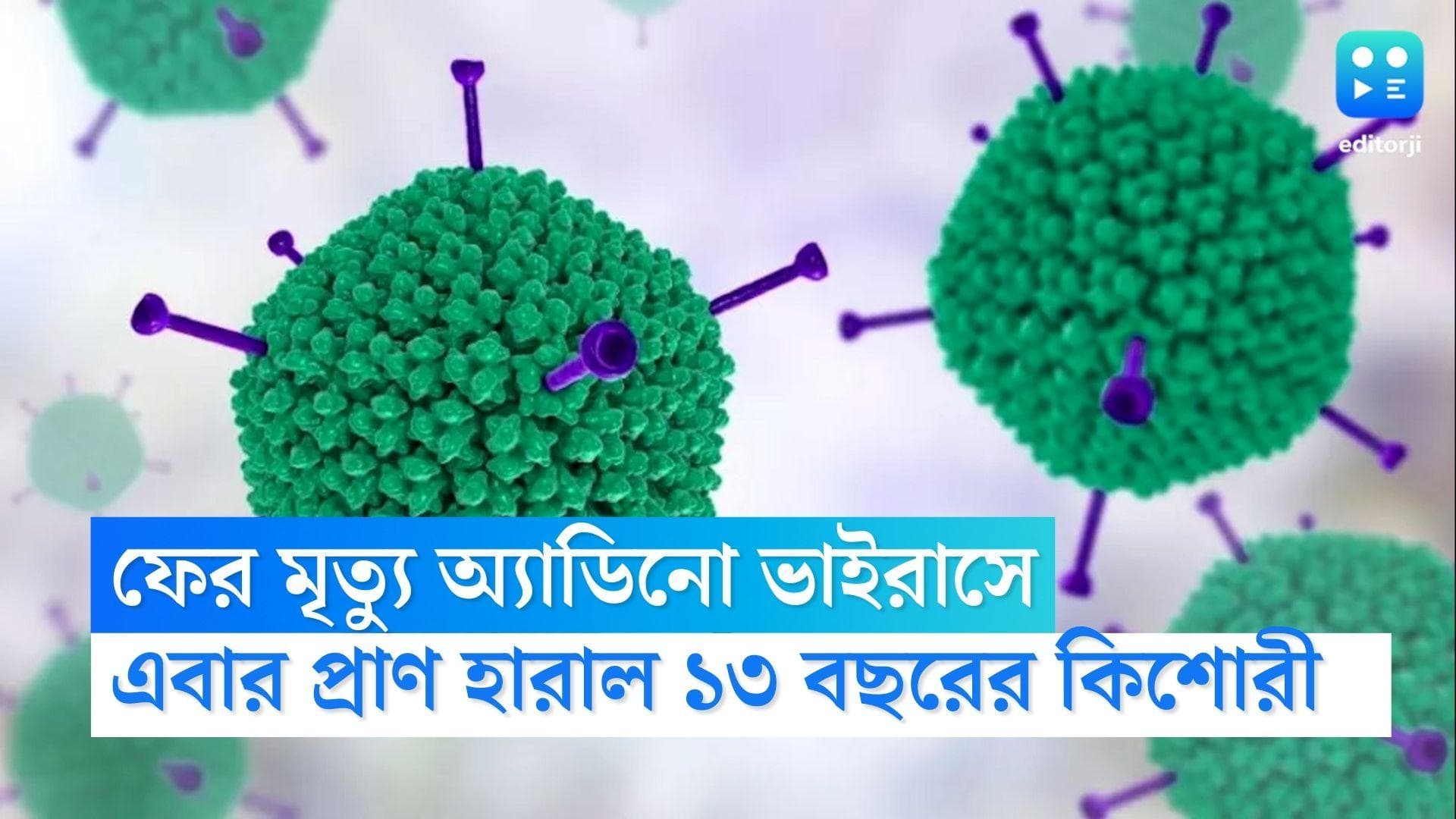 Adeno Virus Death : রাজ্যে ফের অ্যাডিনো ভাইরাসে মৃত্যু, প্রাণ গেল ১৩ বছরের কিশোরীর