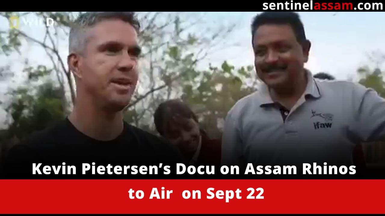 Kevin Pietersen’s Docu on Assam Rhinos to Air  on Sept 22