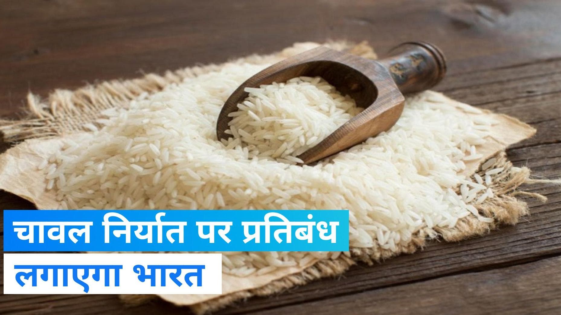 India May Ban Rice Exports: चावल निर्यात पर प्रतिबंध लगा सकता है भारत, सामने आई ये वजह : रिपोर्ट