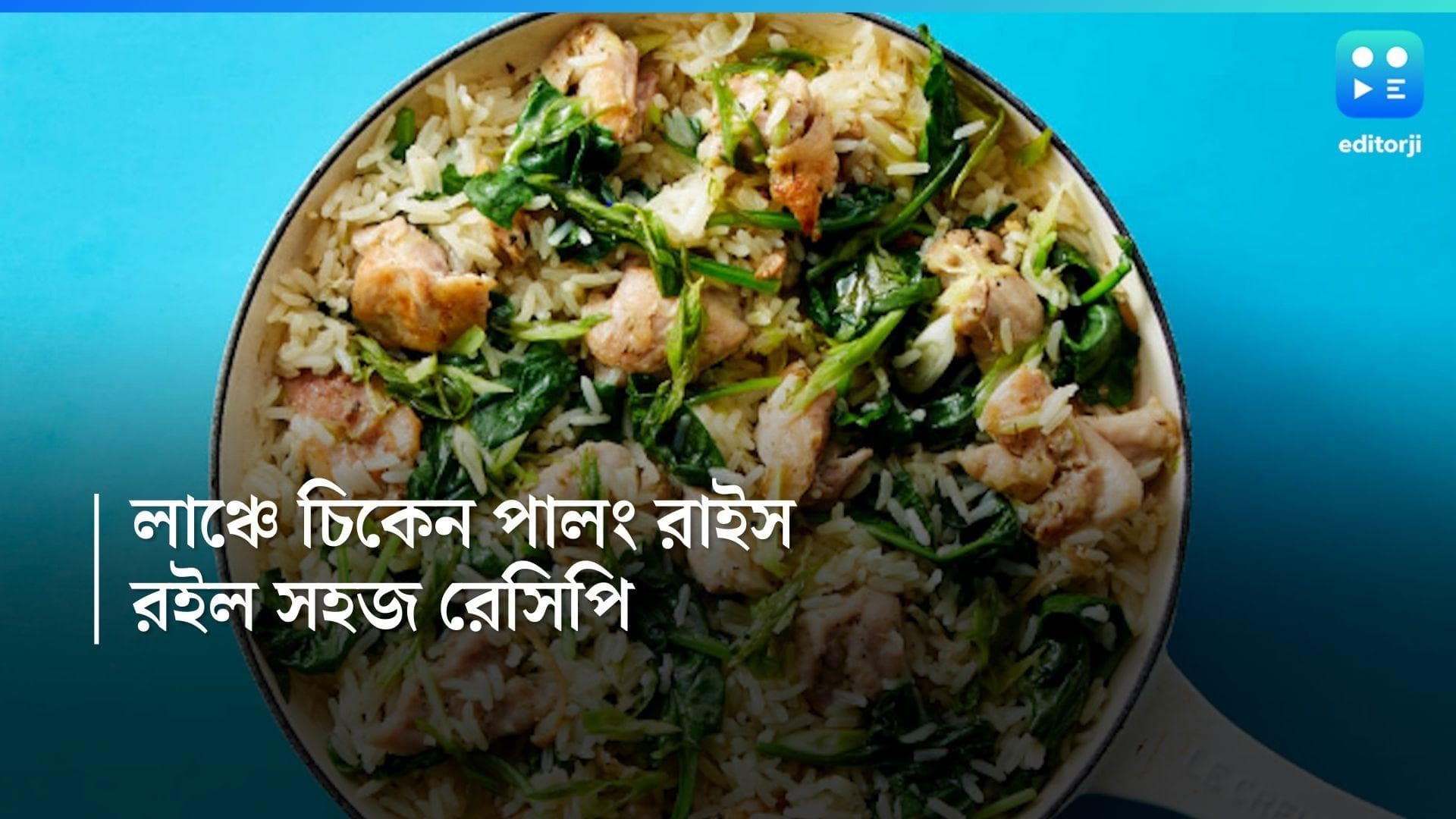 One Pot Chicken Spinach Rice Recipe: লাঞ্চবক্সে থাক স্বাস্থ্যকর চিকেন পালং রাইস, রইল রেসিপি 