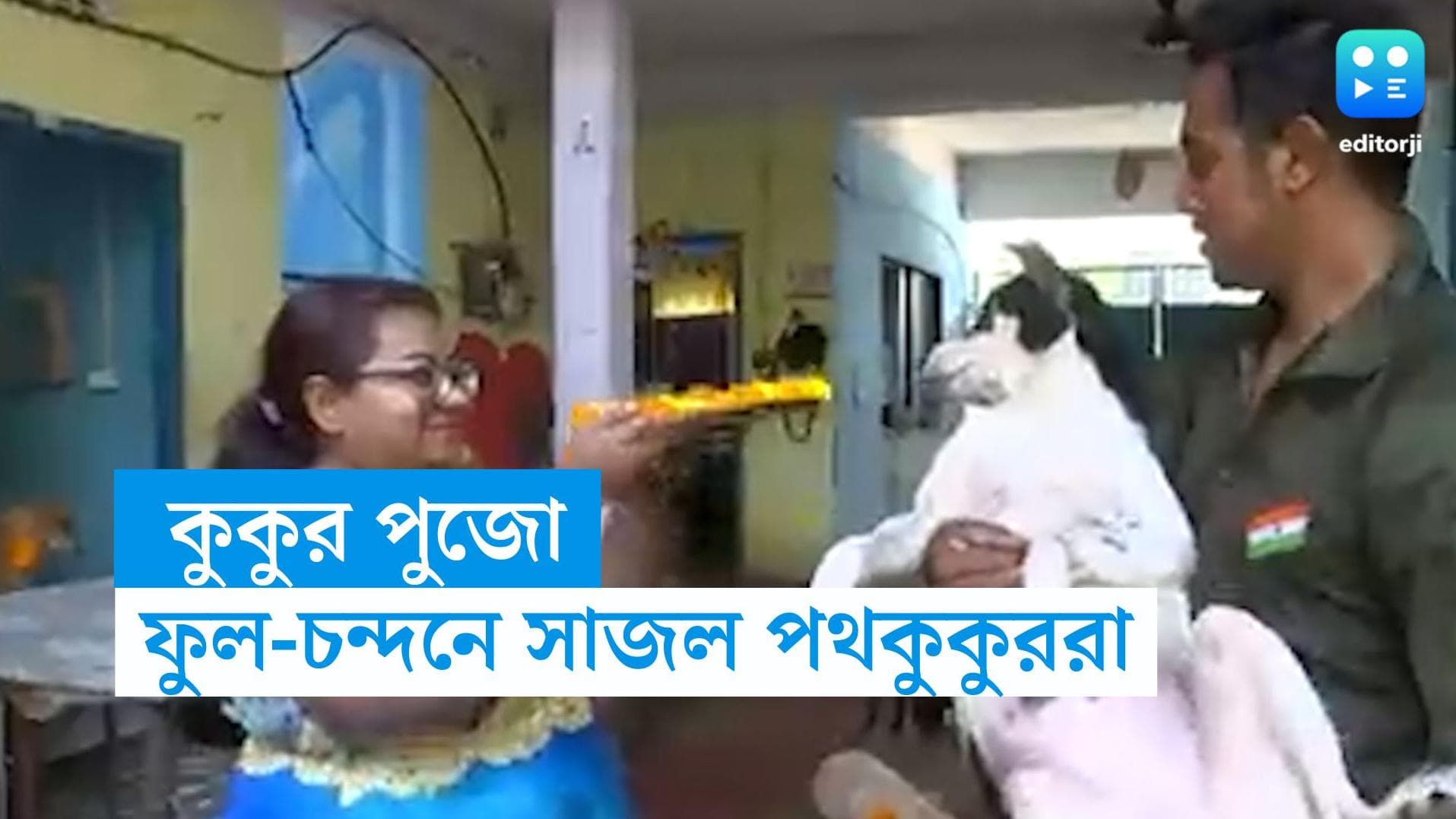 Kukur Tihar: সারমেয়র যত্নআত্তি! মহাসমারোহে শিলিগুড়িতে 'কুকুর তিহার' পালন