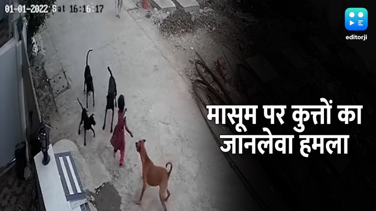 Madhya Pradesh: मासूम बच्ची पर आवारा कुत्तों ने किया जानलेवा हमला, बाल बाल बची जान