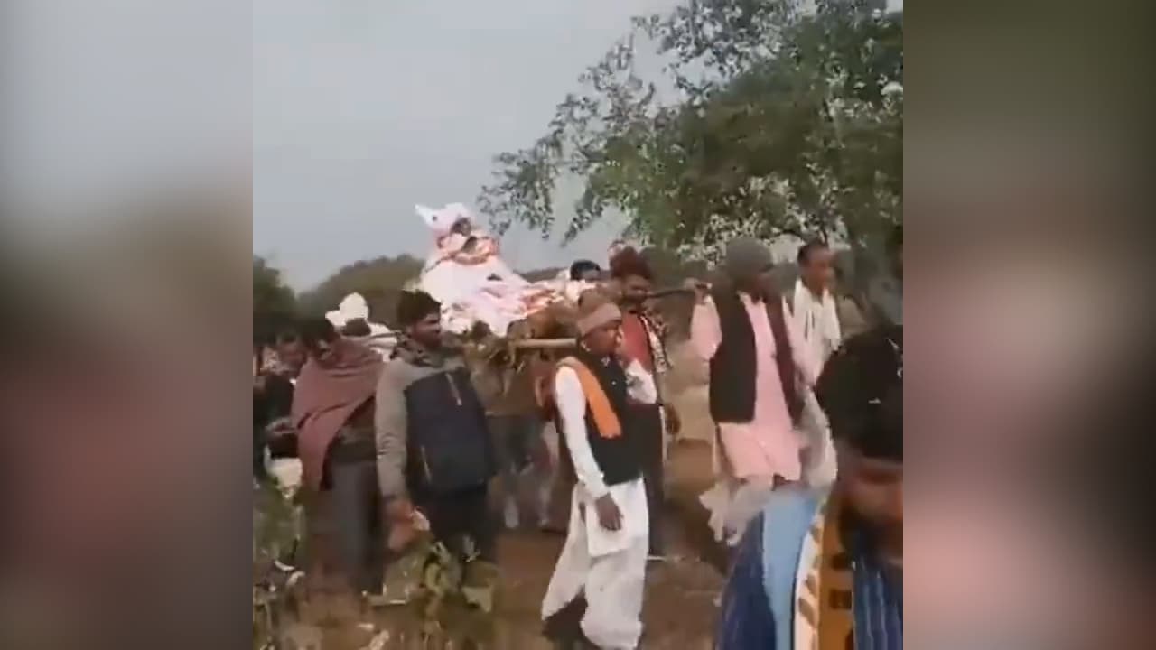 Watch: hundreds attend monkey's funeral feast amid Covid-19 spike in Madhya Pradesh