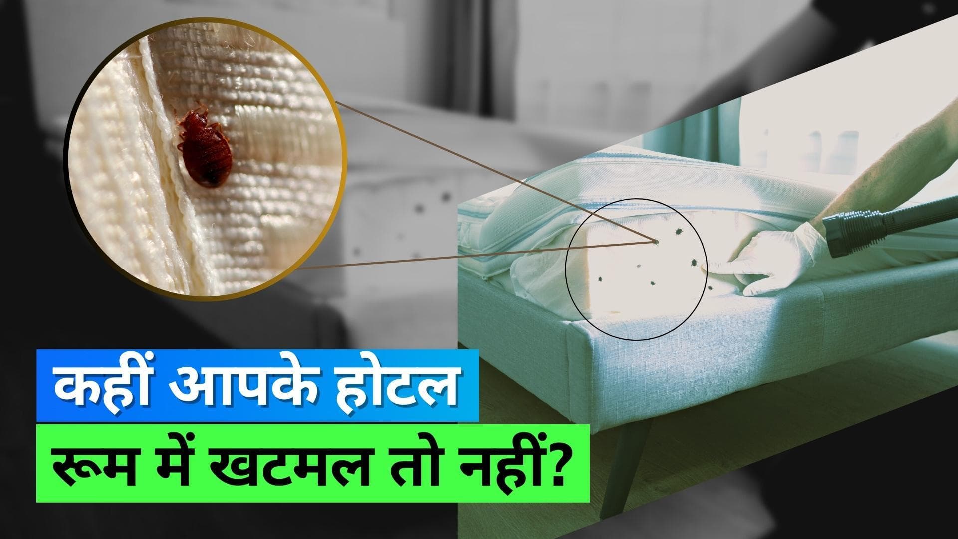 Bed Bugs: होटल में चेकइन करने के बाद इस तरह चेक करें बिस्तर का हर कोना 
