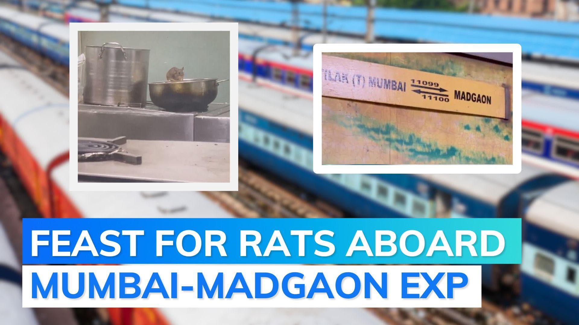 Mumbai-Madgaon Express: rats enjoy passengers' food in pantry car | Watch