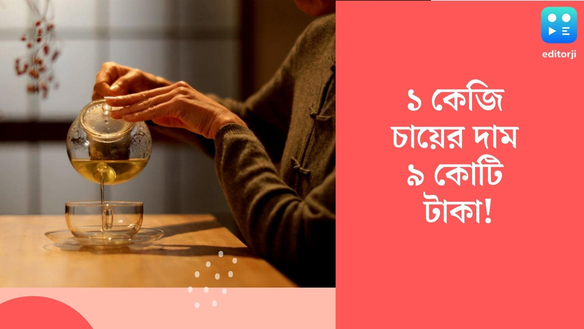 Most expensive tea: দুনিয়ার সবচেয়ে দামী চা কোনগুলো, জানেন? আকাশ ছোঁয়া দাম শুনলে চমকে যাবেন