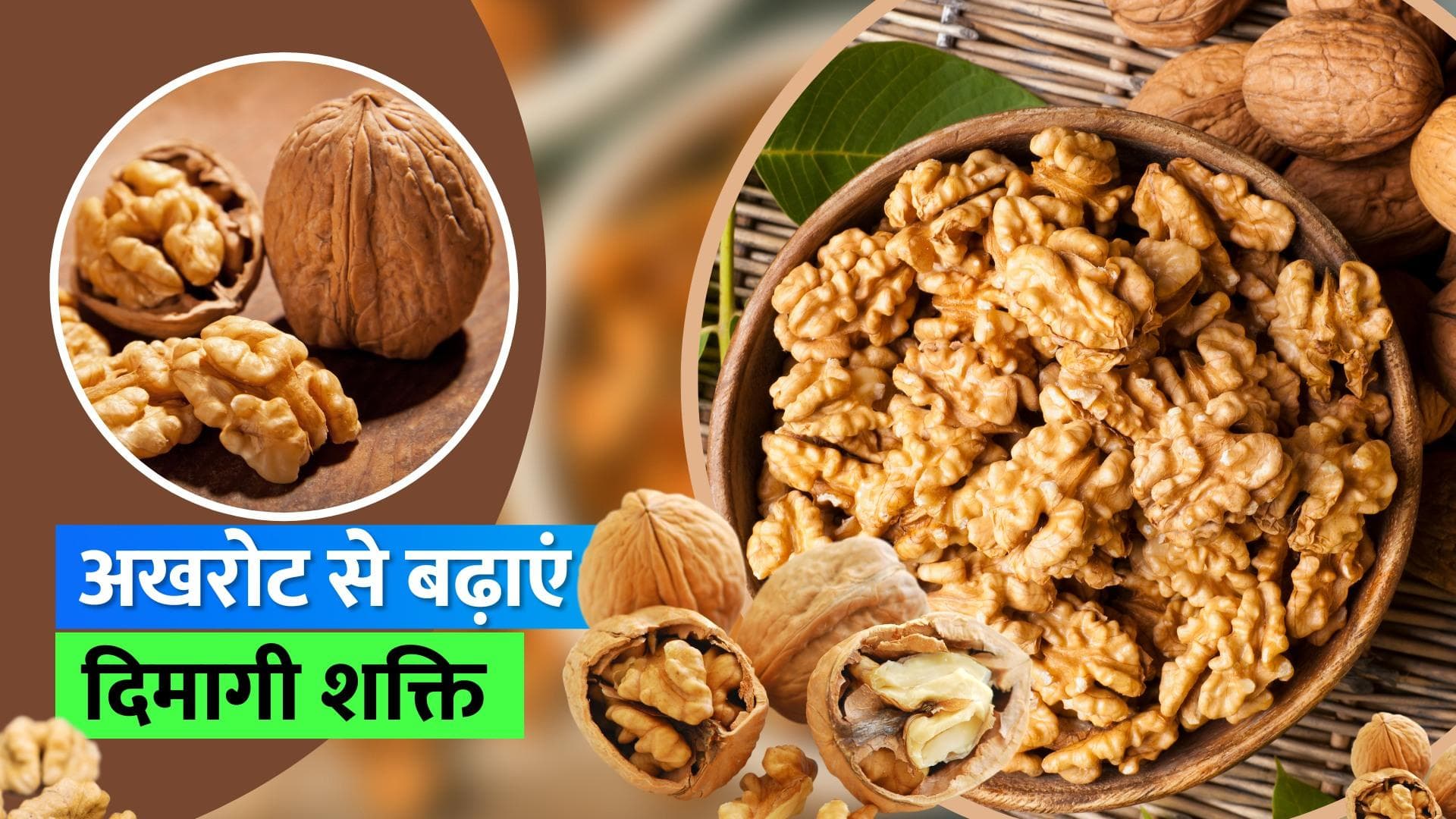 Walnut Benefits: बच्चों को मुट्ठीभर खिलाएं अखरोट, सोचने-समझने की क्षमताओं में होगा सुधार 