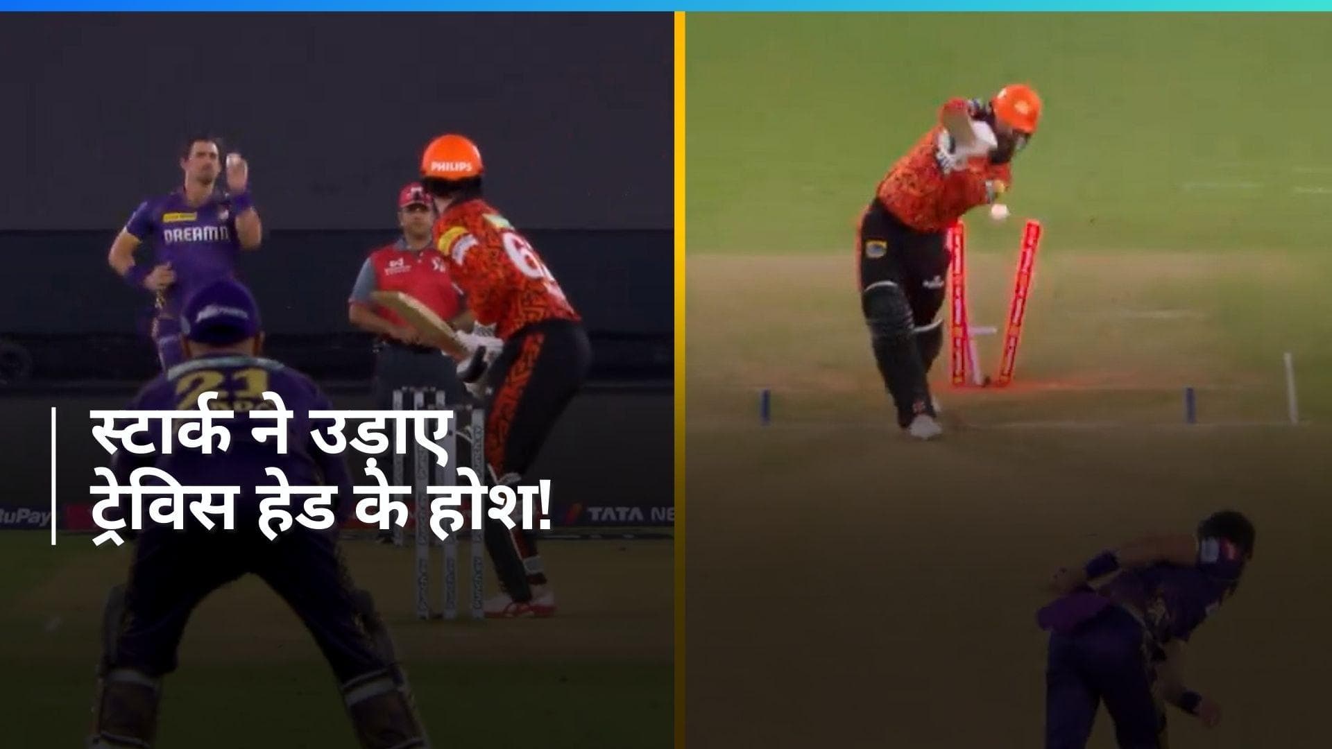 हवा में लहराई गेंद और गुलाटी खाकर दूर गिरा स्टंप, मिचेल स्टार्क की रफ्तार ने उड़ाए ट्रेविस हेड के होश